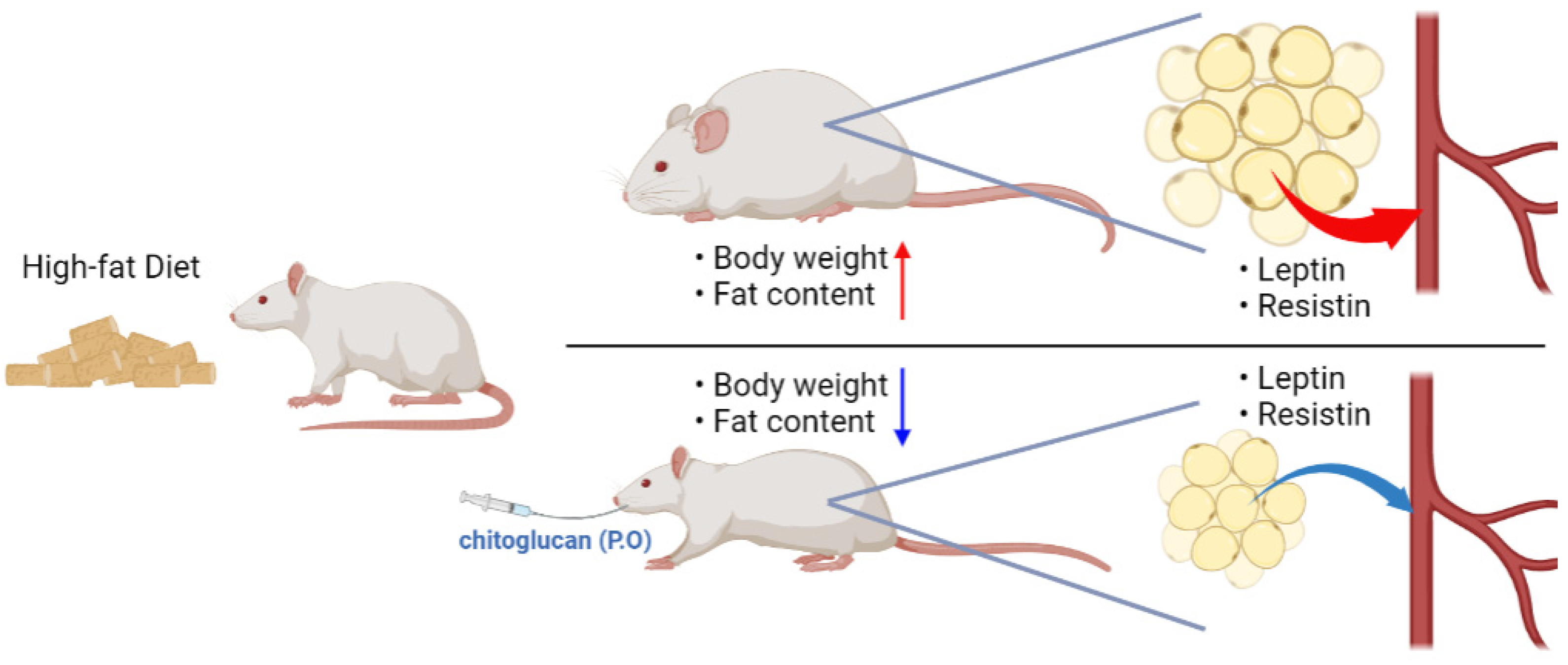 Ijerph 20 00281 g006