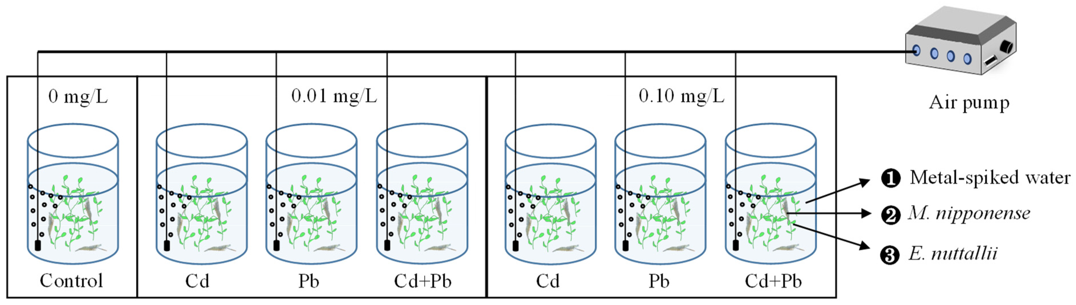 Ijerph 20 00360 g001 Ijerph 20 00360 g001