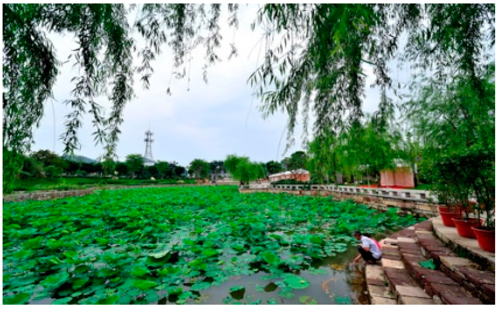 Ijerph 20 00372 g010