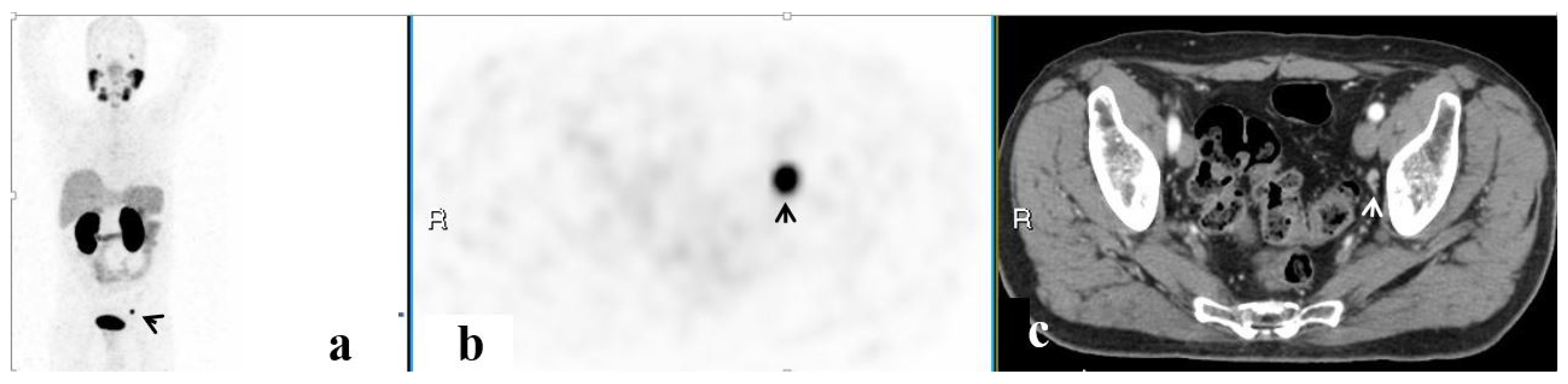 Ijerph 20 00537 g001