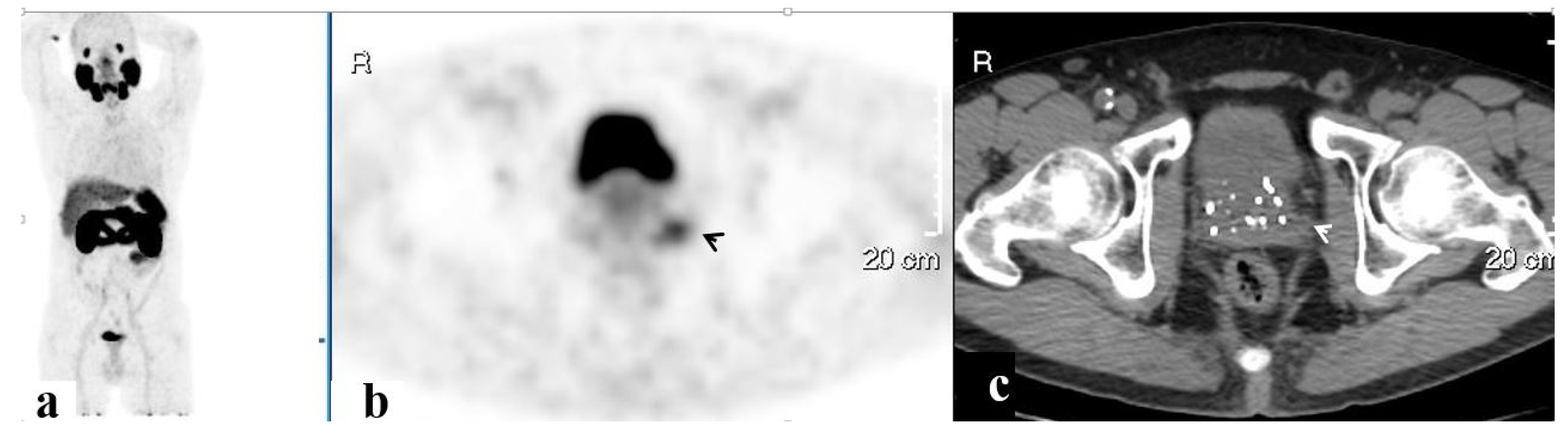 Ijerph 20 00537 g003