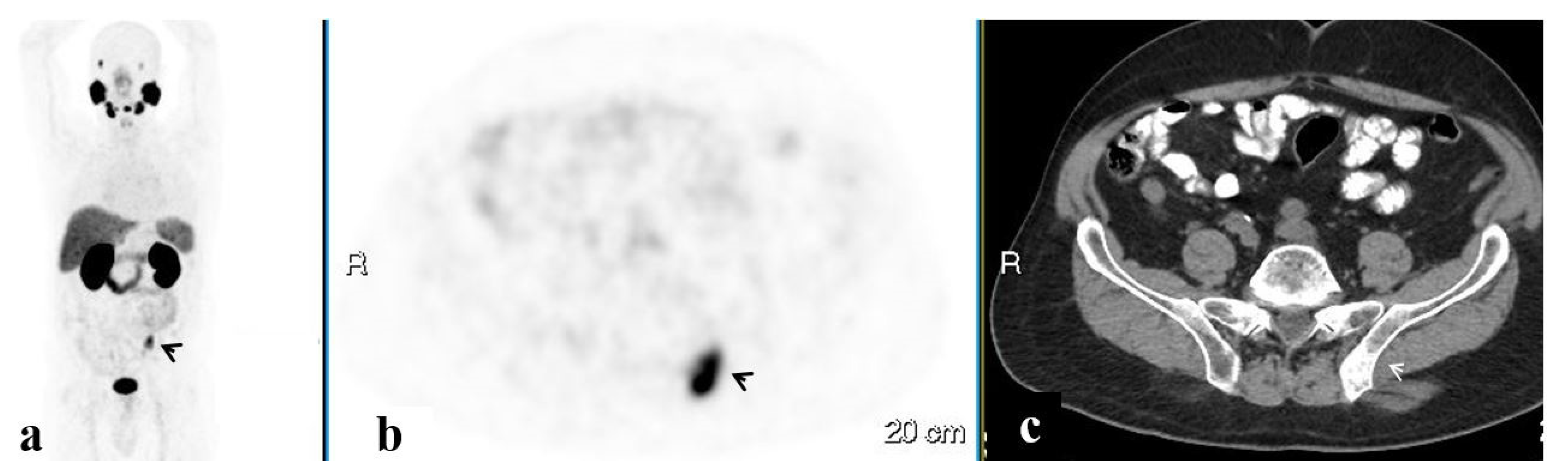 Ijerph 20 00537 g005