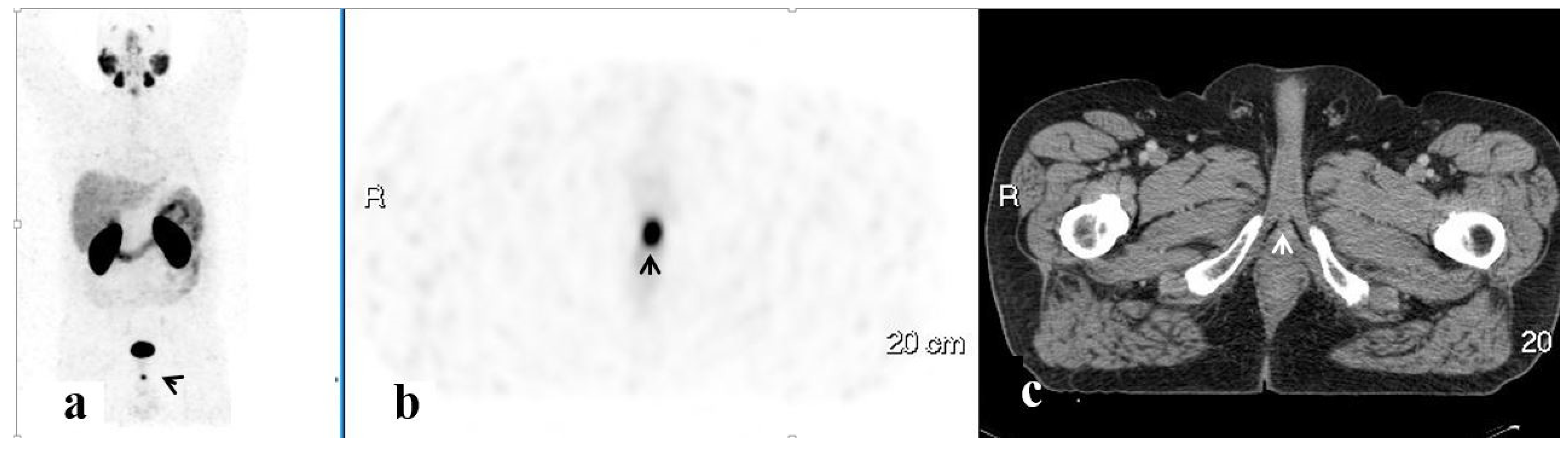 Ijerph 20 00537 g006