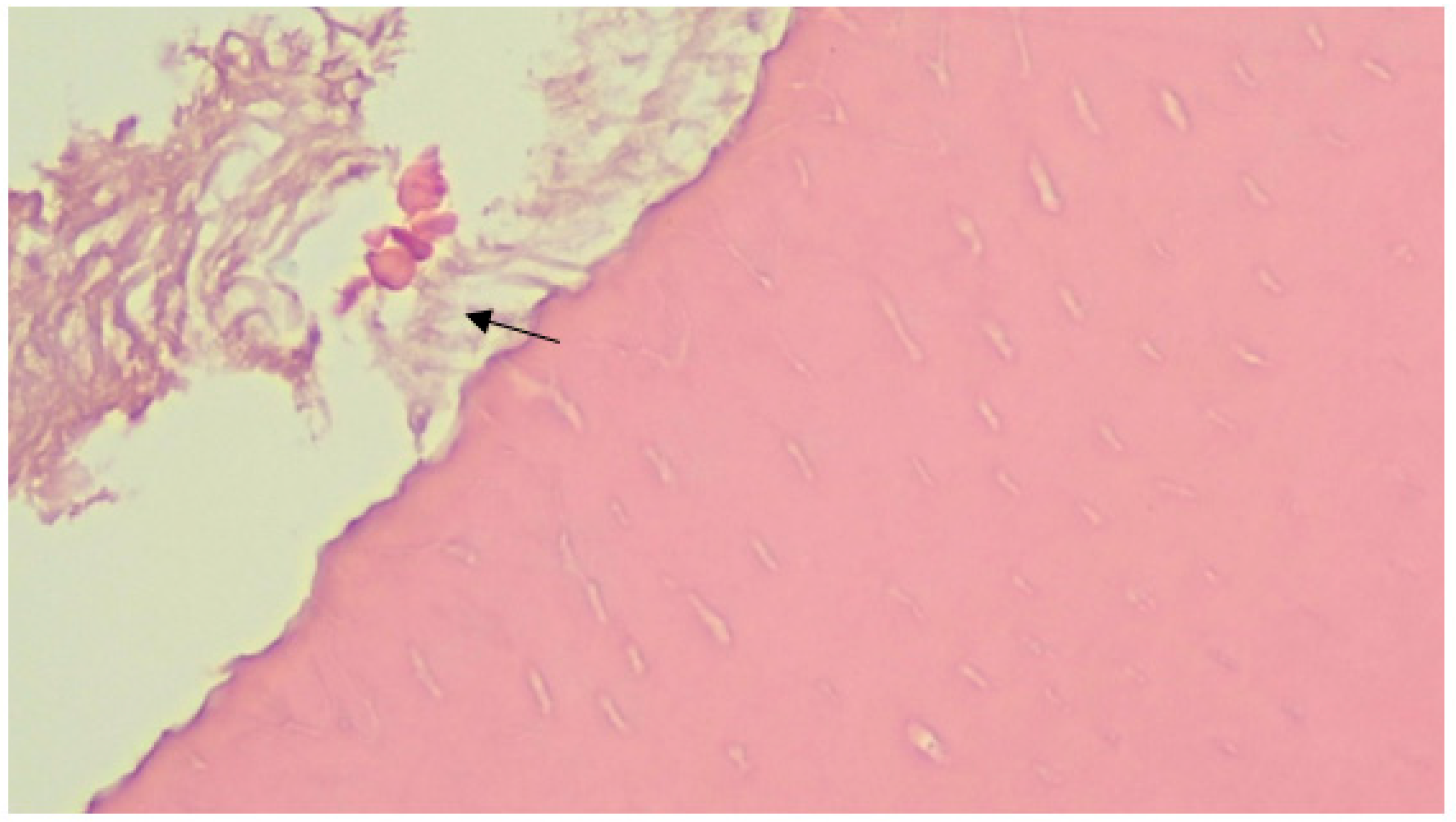 Ijerph 20 00540 g004