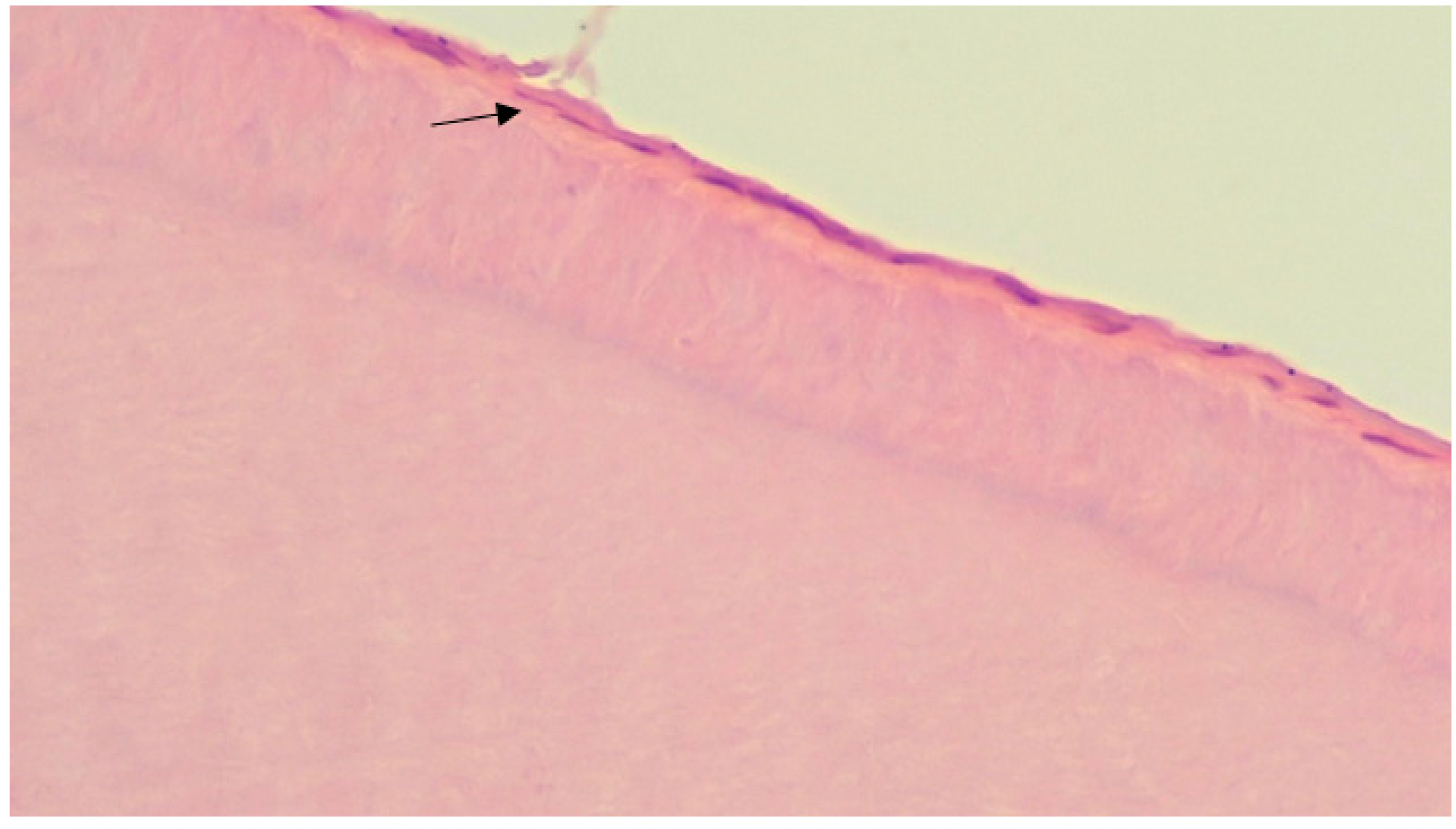 Ijerph 20 00540 g005