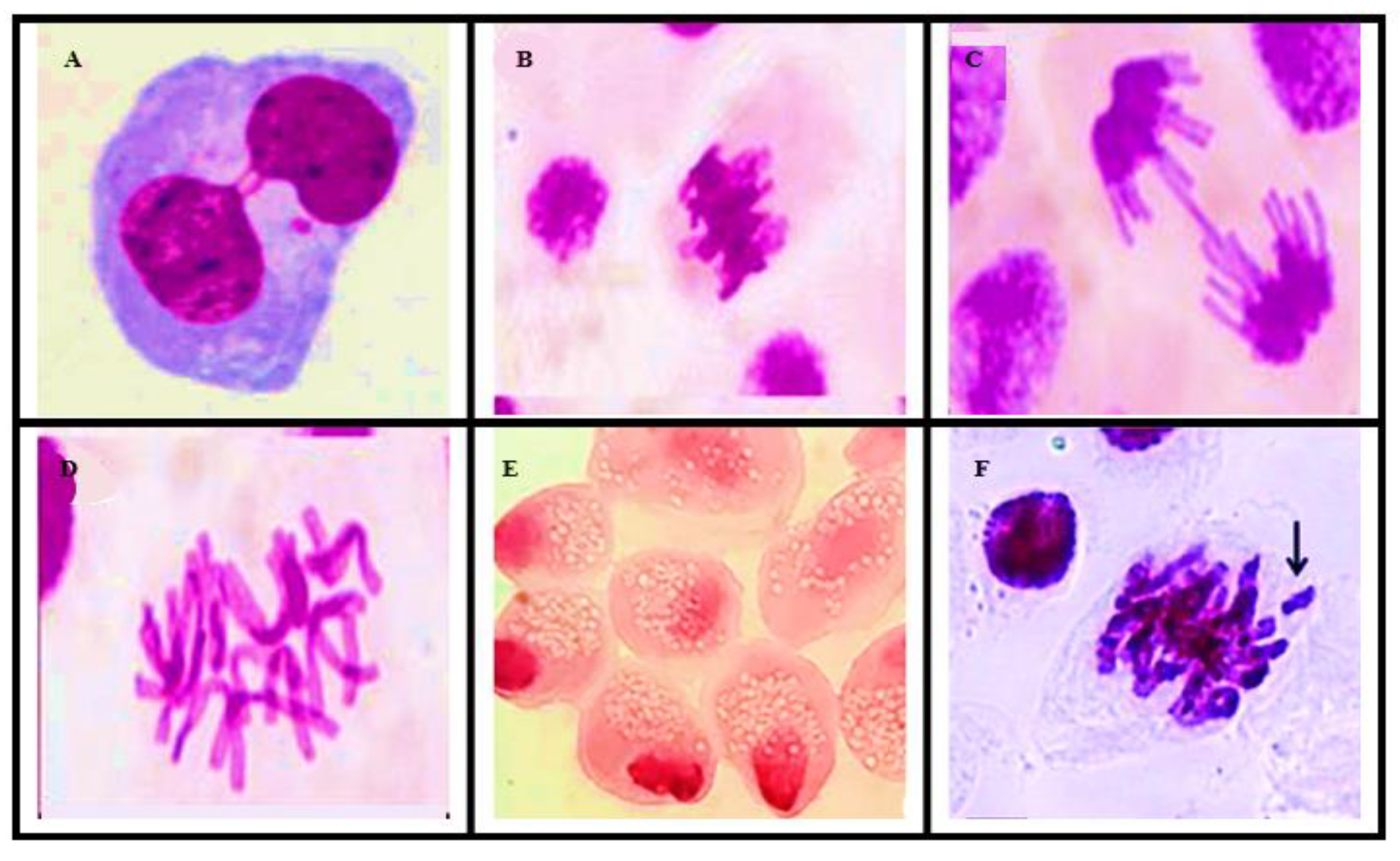 Ijerph 20 00786 g005
