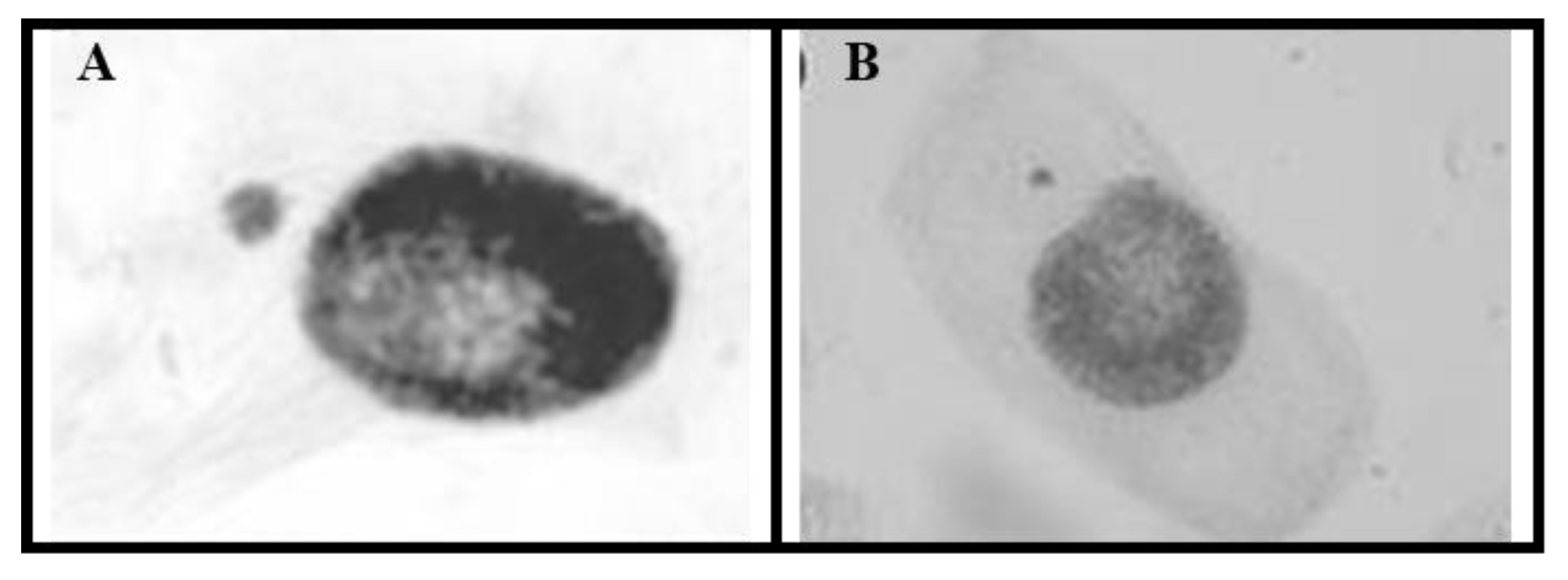 Ijerph 20 00786 g007