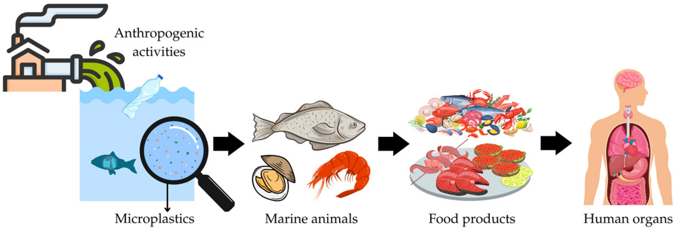 Ijerph 20 00789 g001