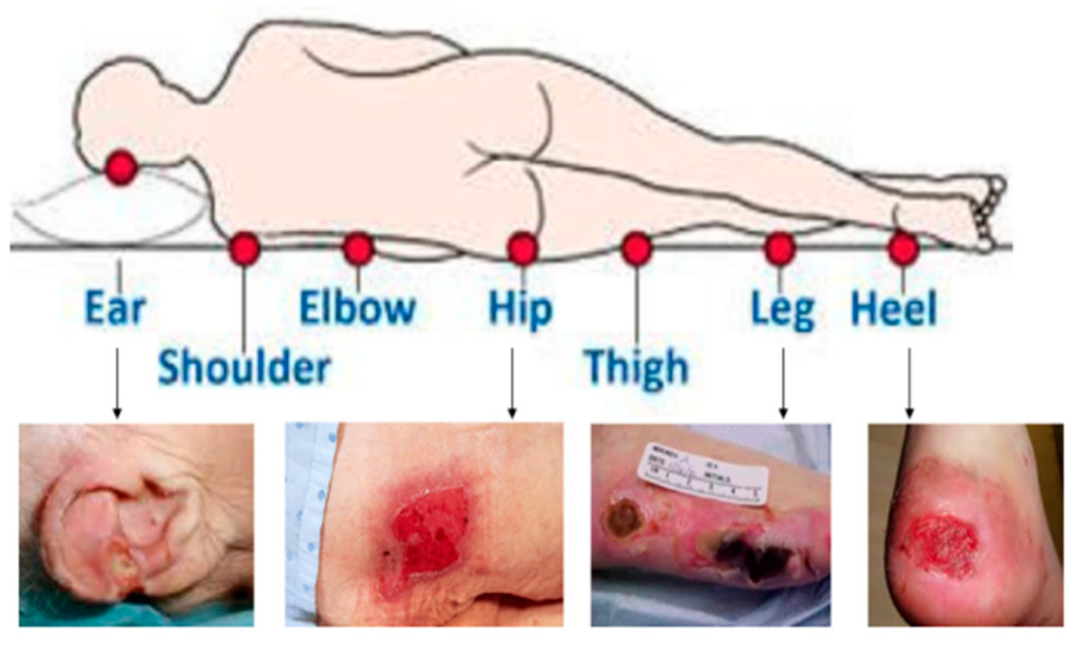 Ijerph 20 00796 g001