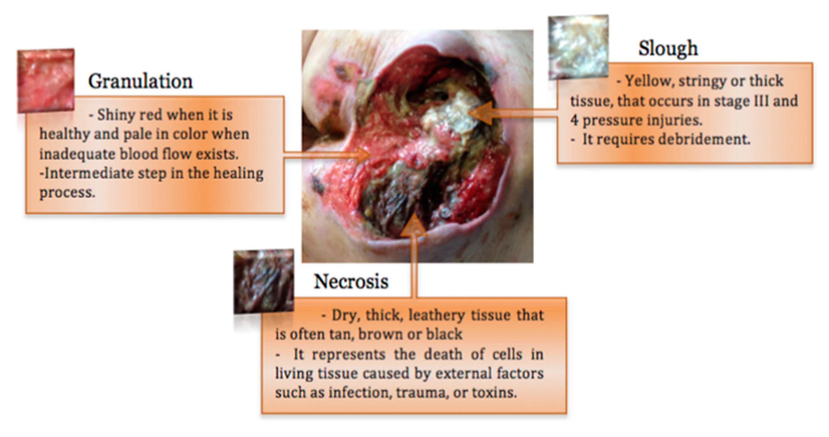 Ijerph 20 00796 g003