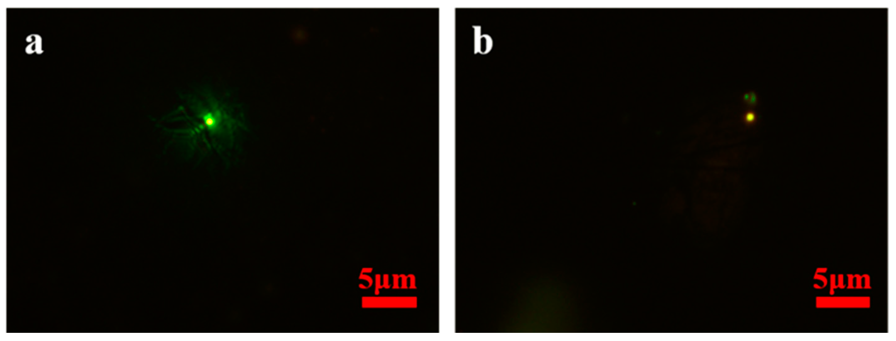 Ijerph 20 00865 g004