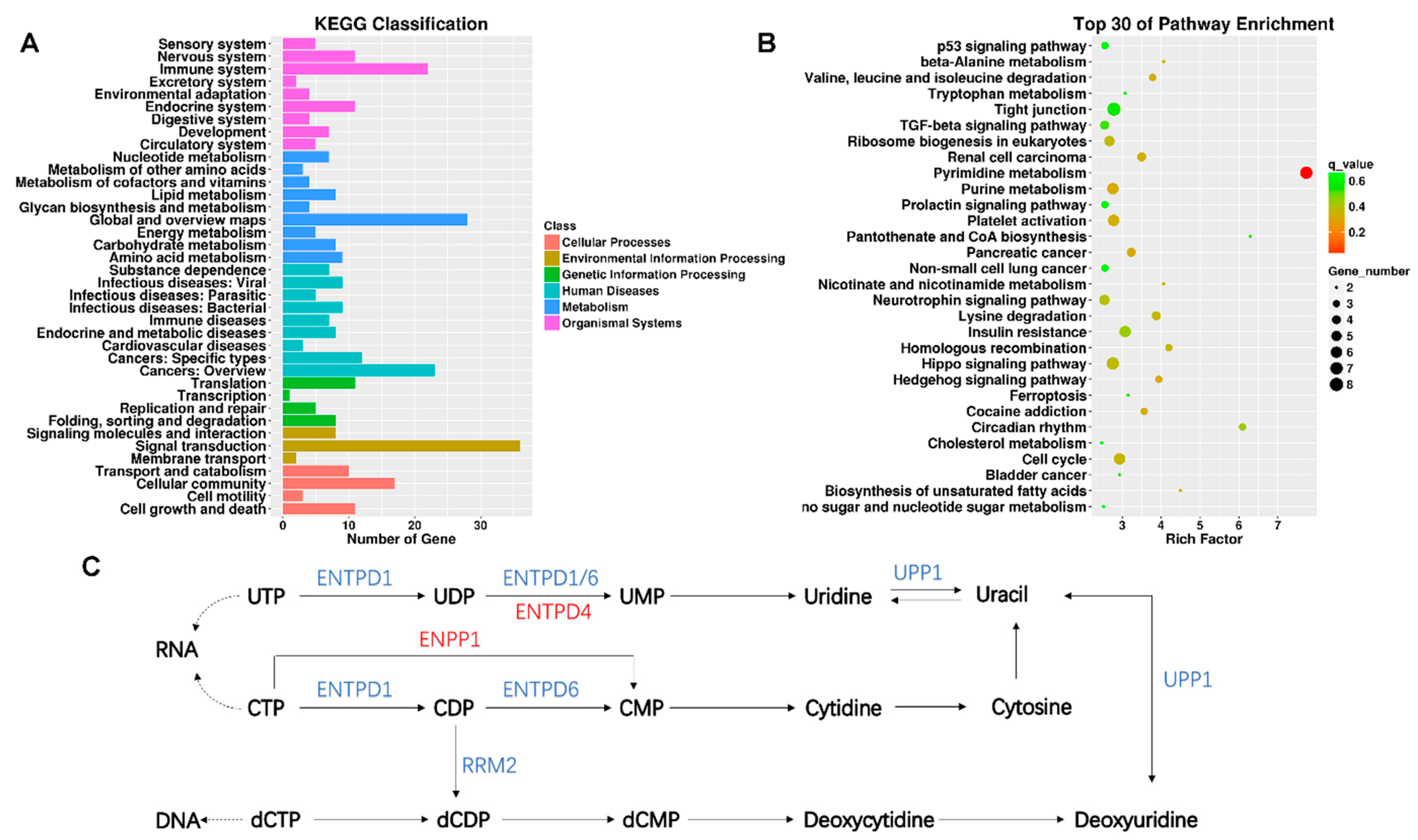 Ijerph 20 01059 g003
