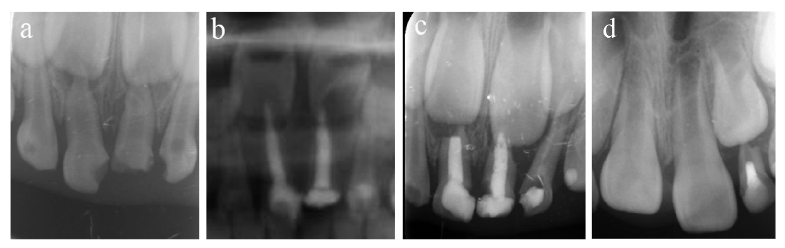 Ijerph 20 01191 g001