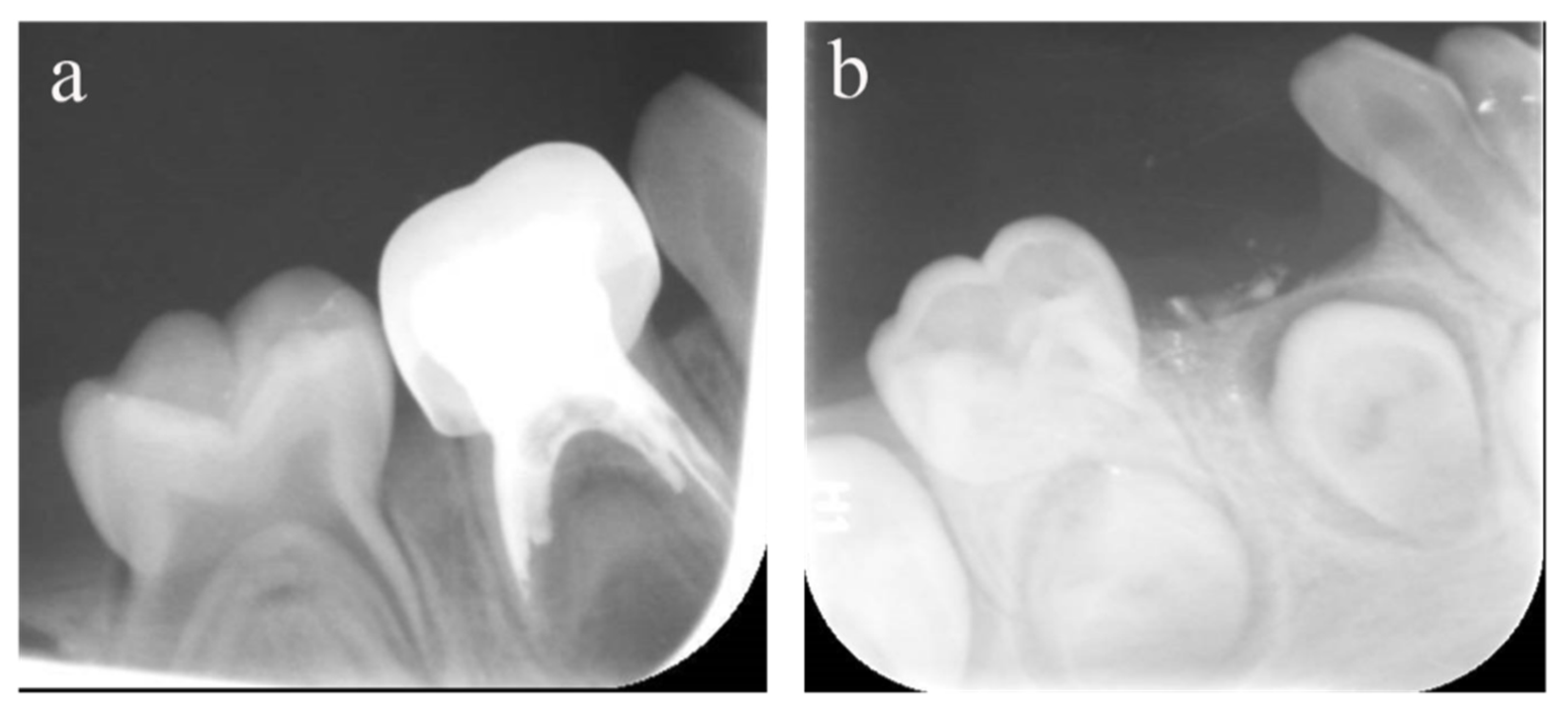 Ijerph 20 01191 g003