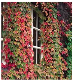 Ijerph 20 01198 i002 Ijerph 20 01198 i002