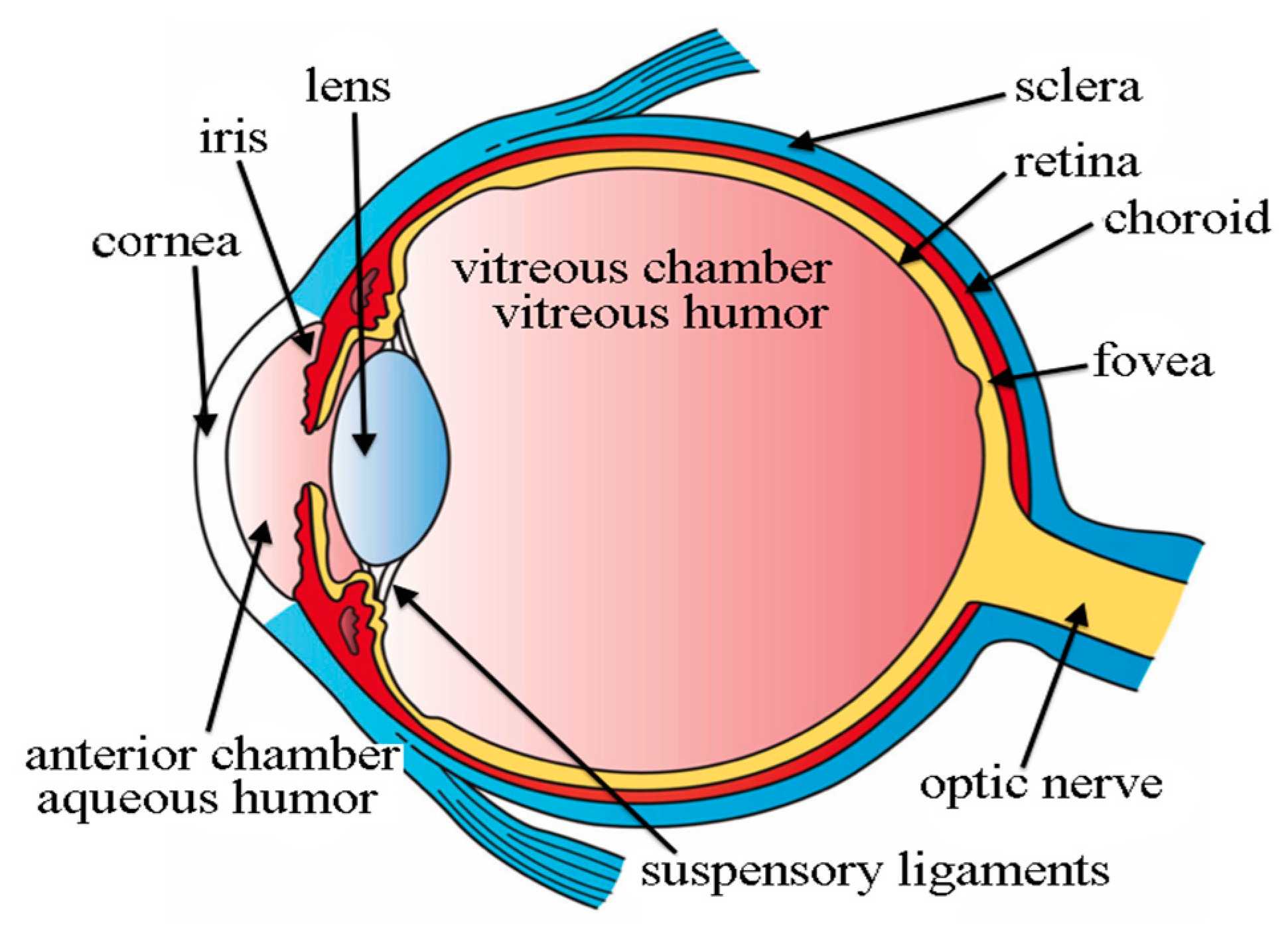 Ijerph 20 01273 g002