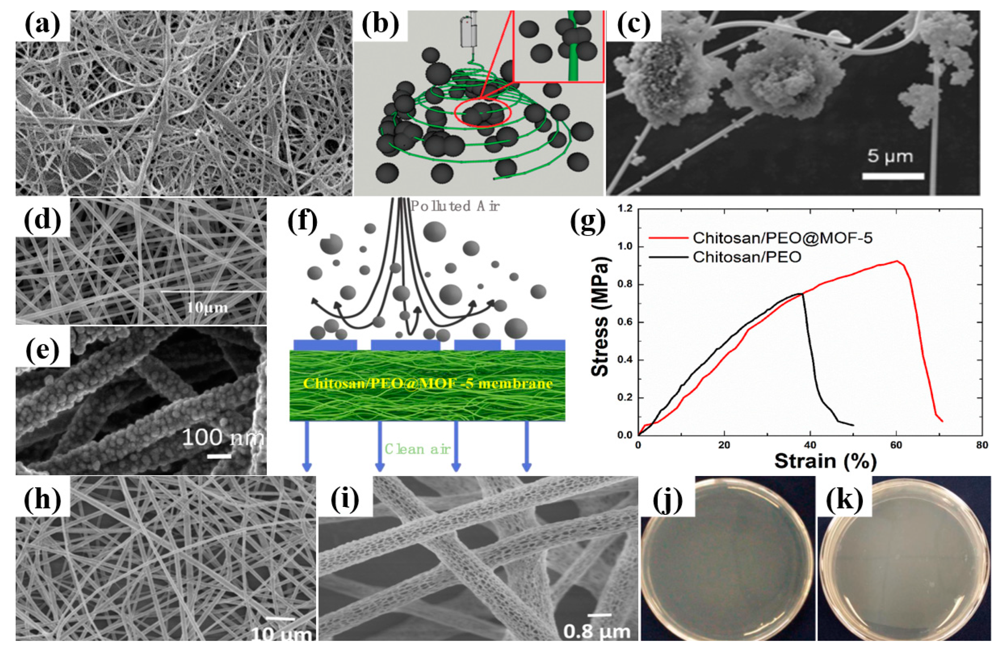 Ijerph 20 01306 g005