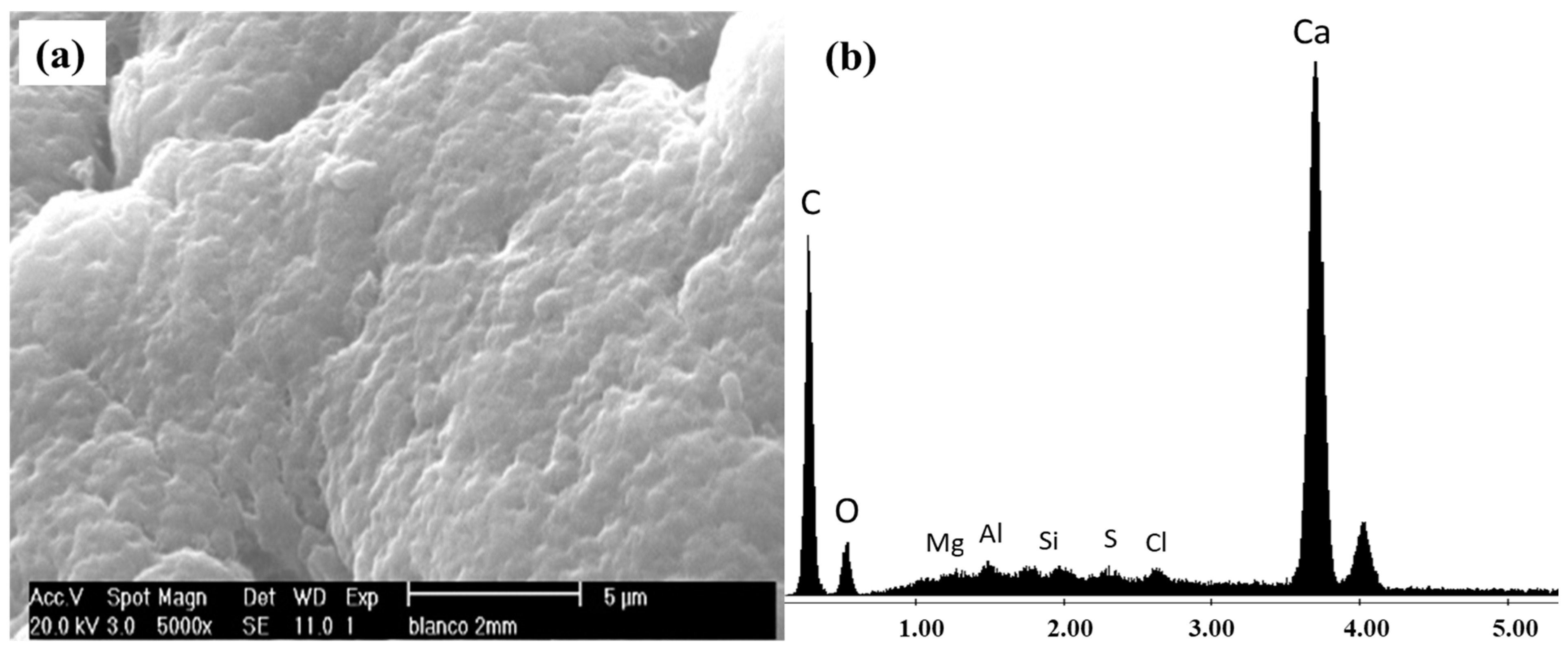 Ijerph 20 01385 g001
