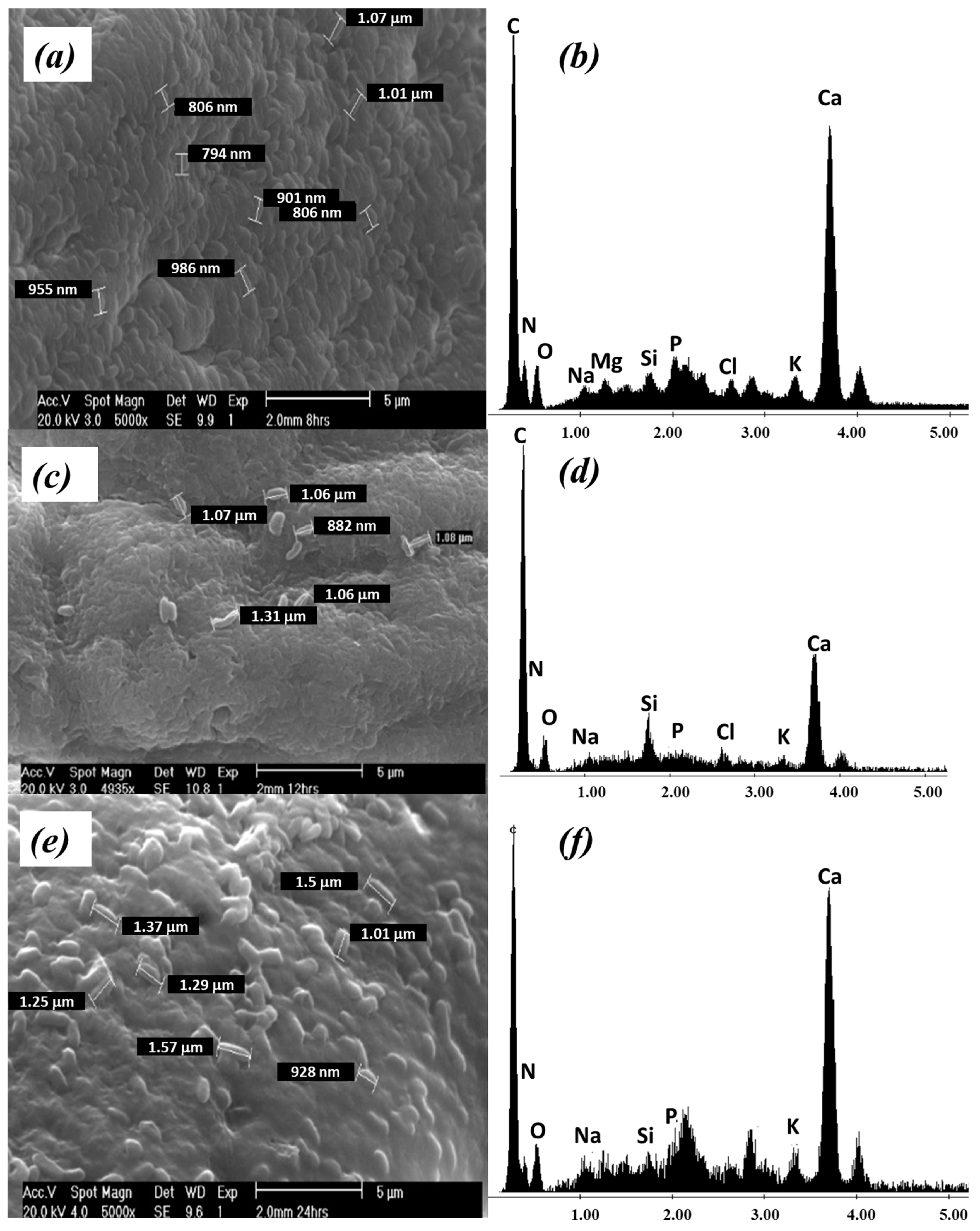 Ijerph 20 01385 g002