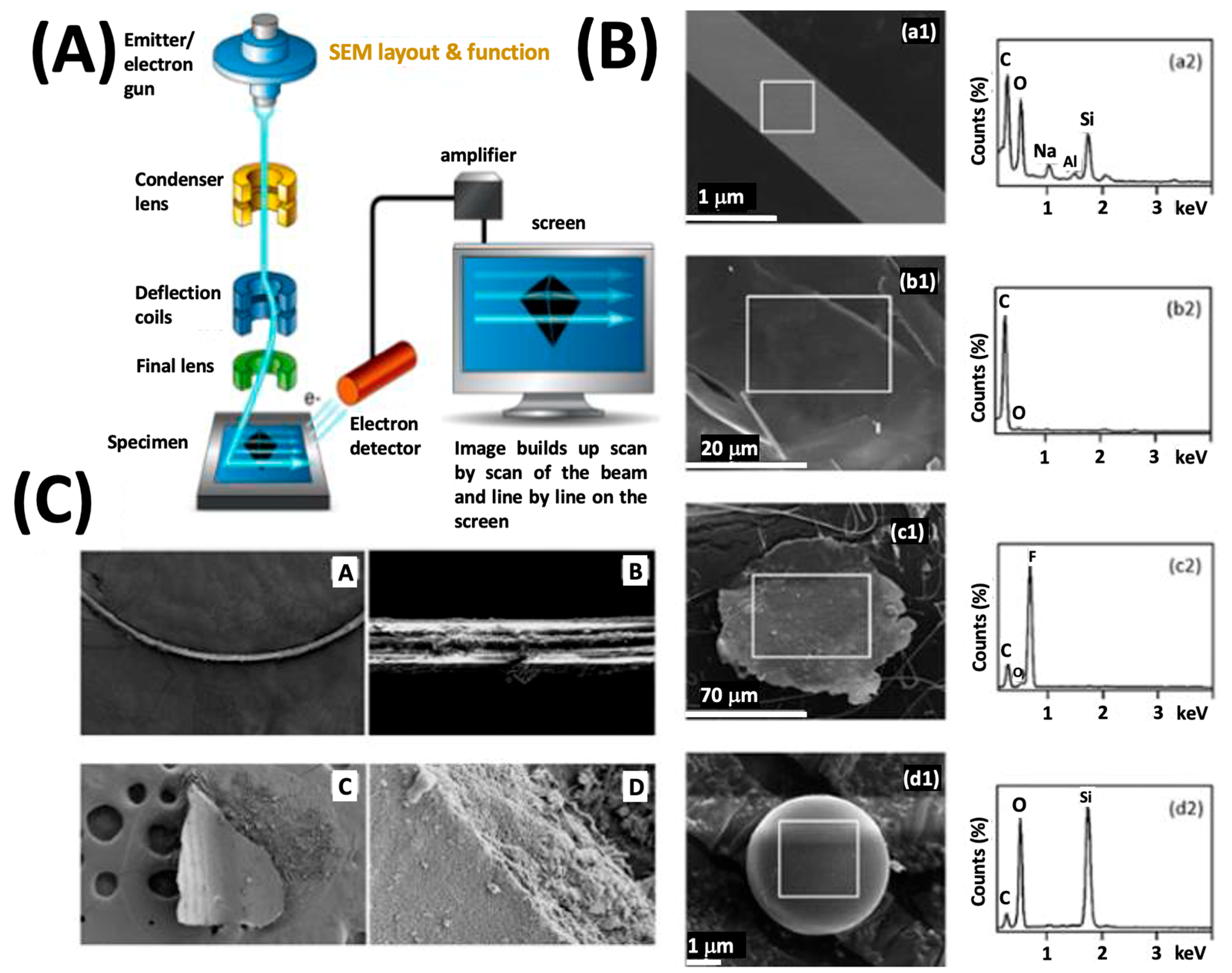 Ijerph 20 01745 g003 Ijerph 20 01745 g003