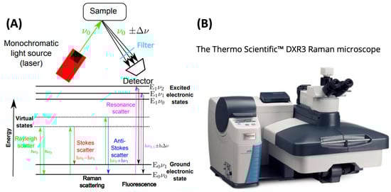 Ijerph 20 01745 g006