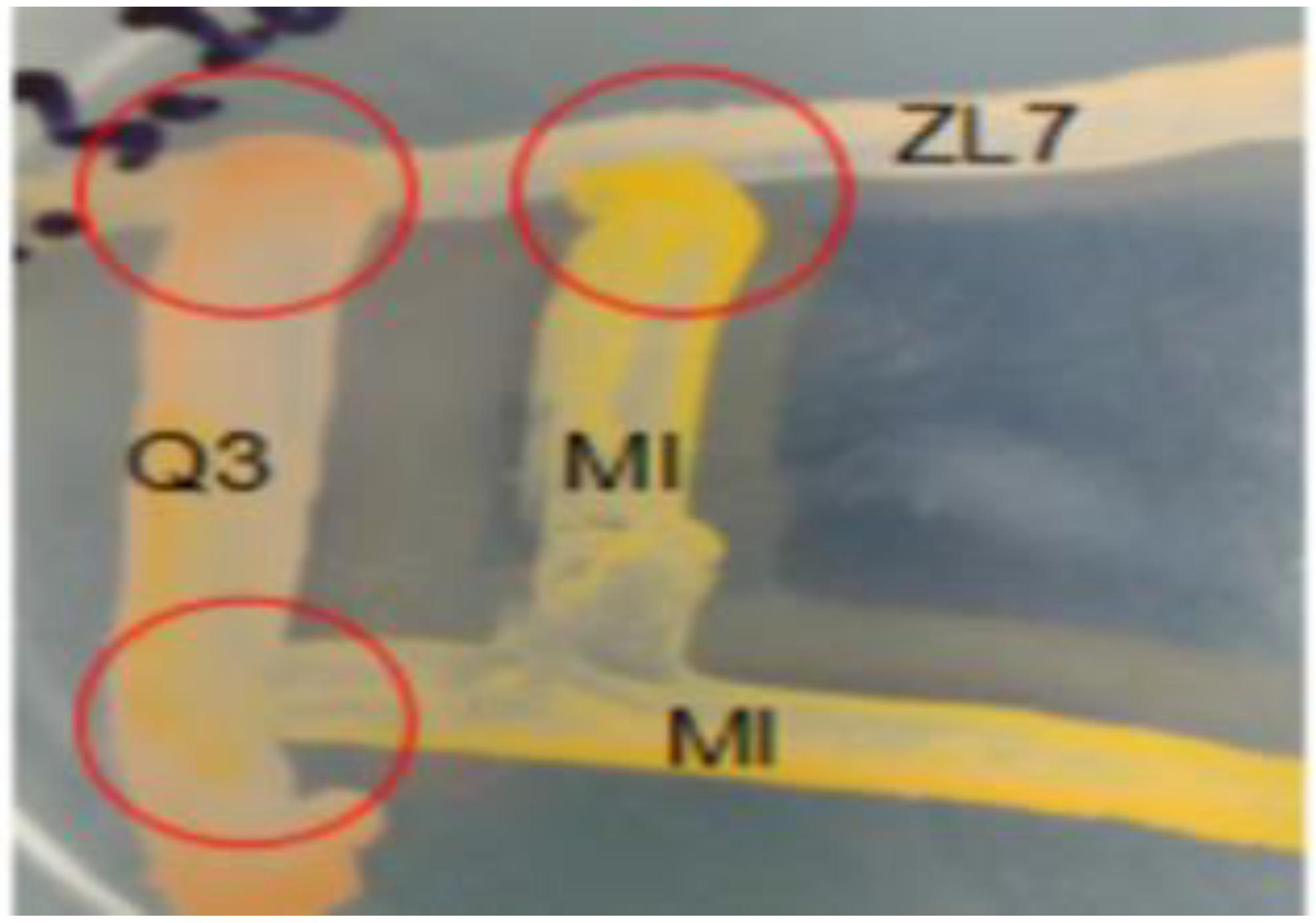 Ijerph 20 01766 g001 Ijerph 20 01766 g001