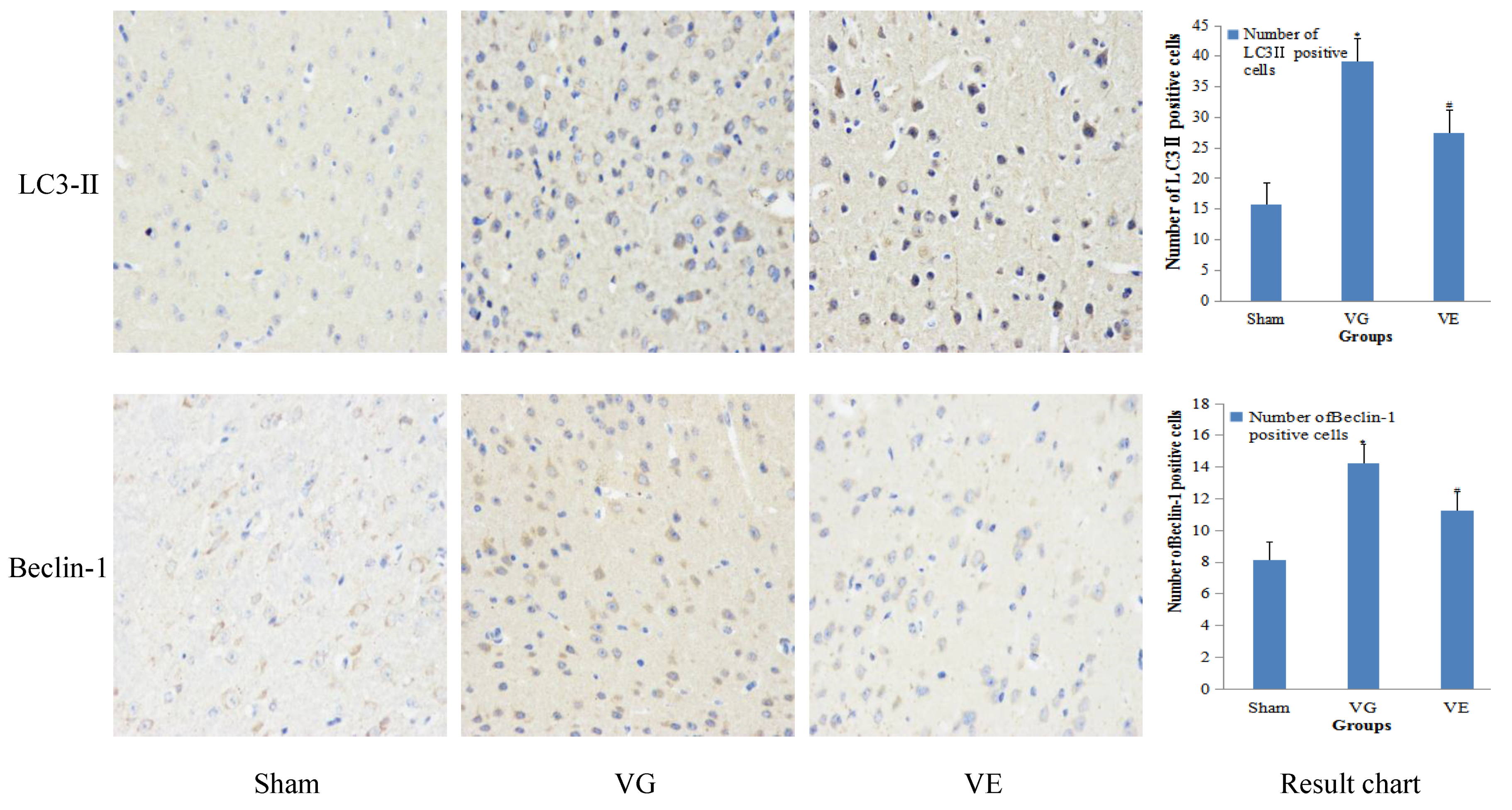 Ijerph 20 01893 g001