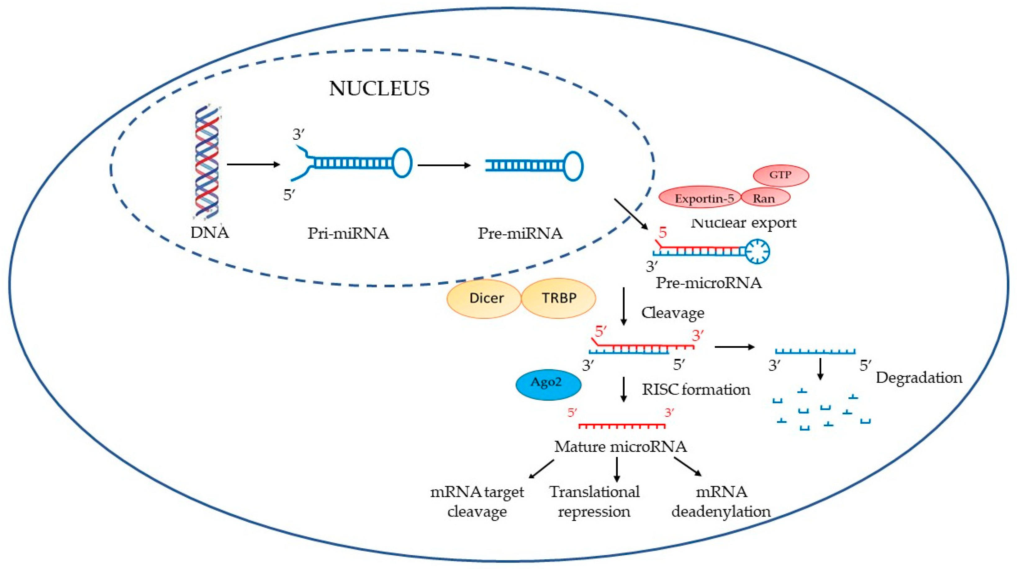 Ijerph 20 01920 g001