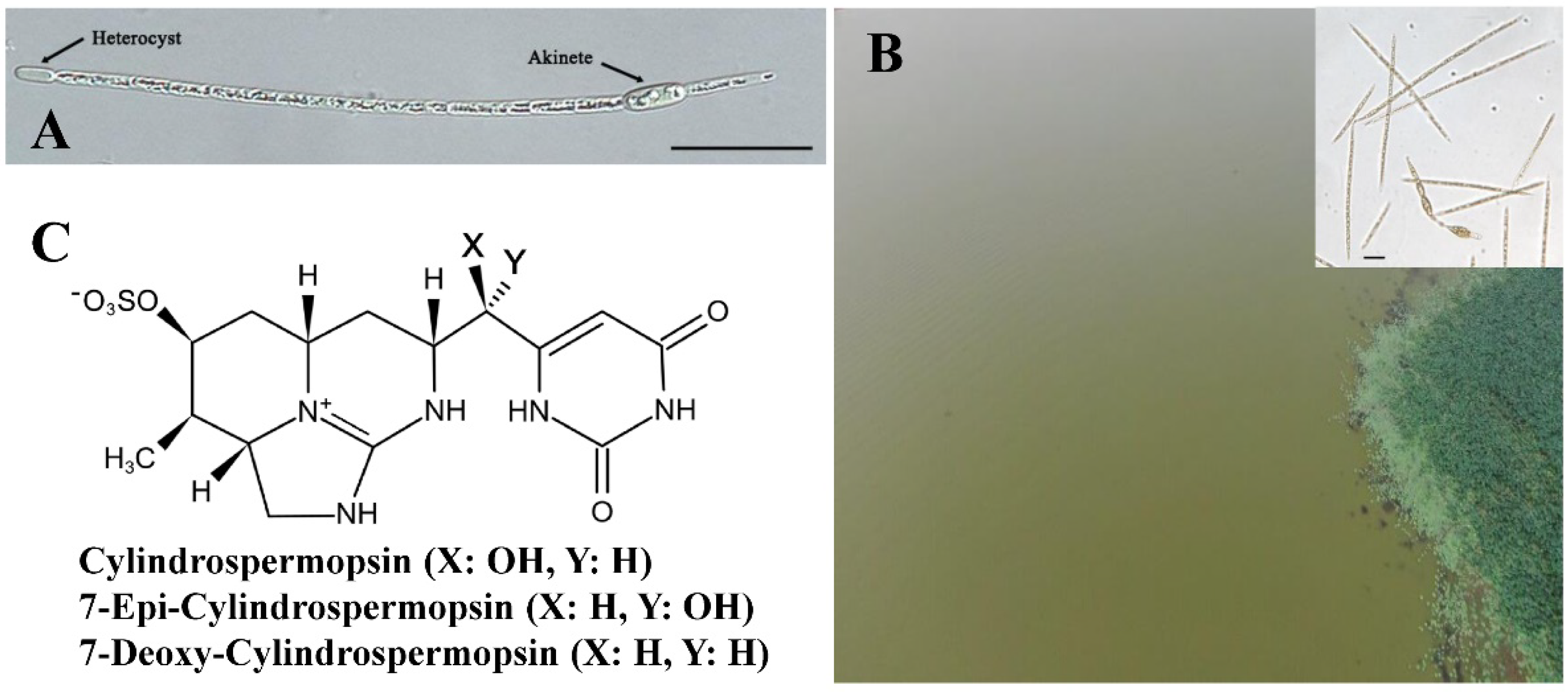 Ijerph 20 01984 g001