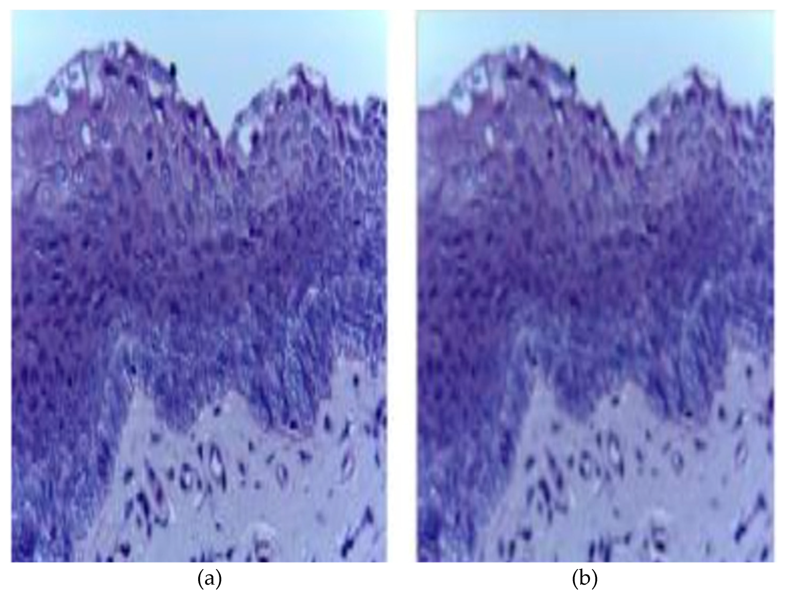 Ijerph 20 02131 g002 Ijerph 20 02131 g002