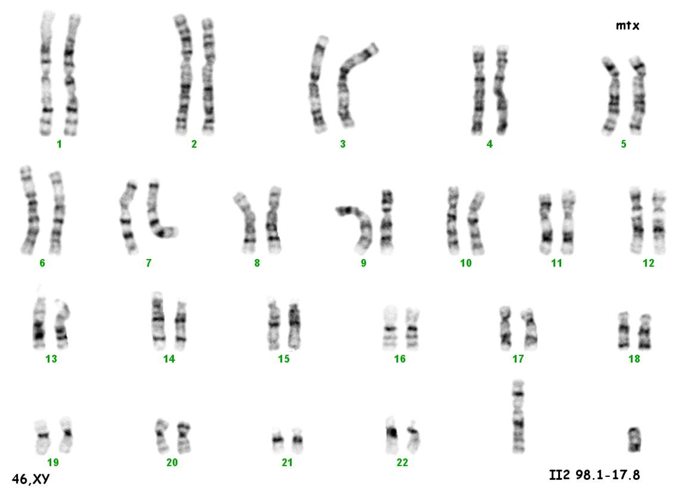 Ijerph 20 02139 g002