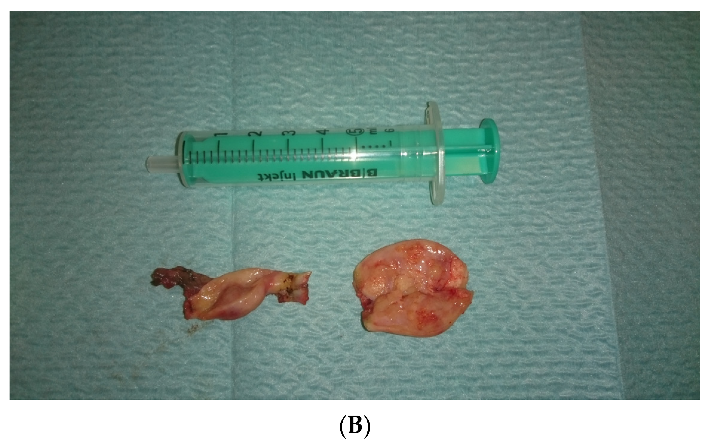 Ijerph 20 02139 g003b