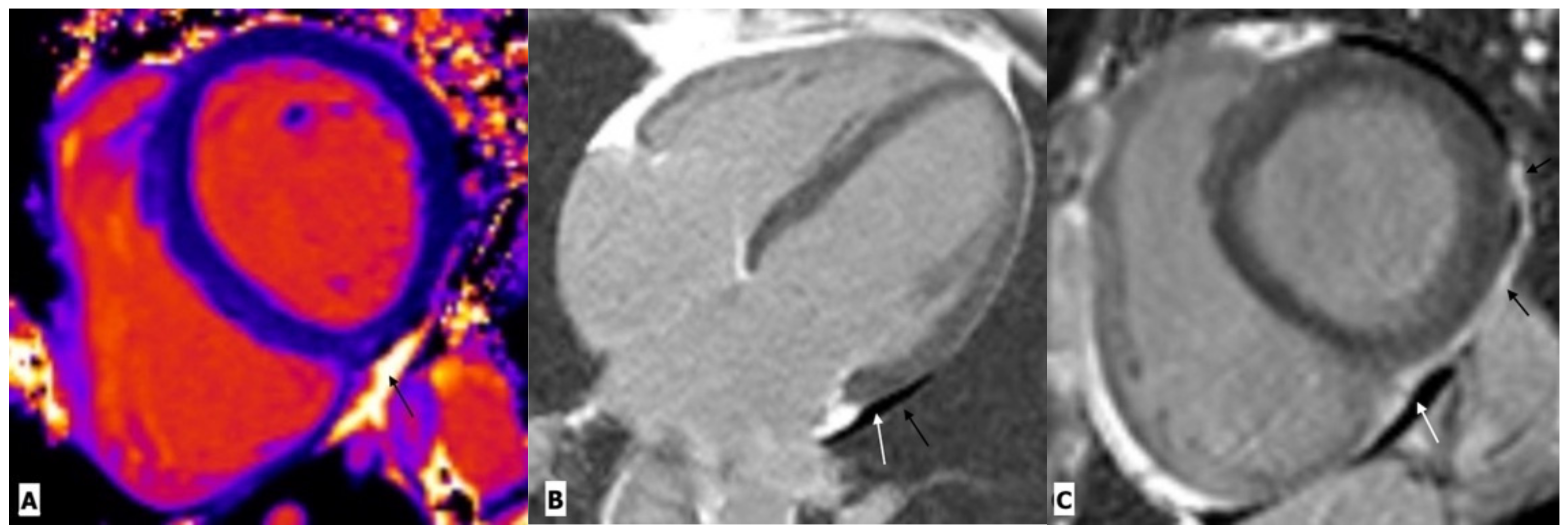 Ijerph 20 02201 g003 Ijerph 20 02201 g003