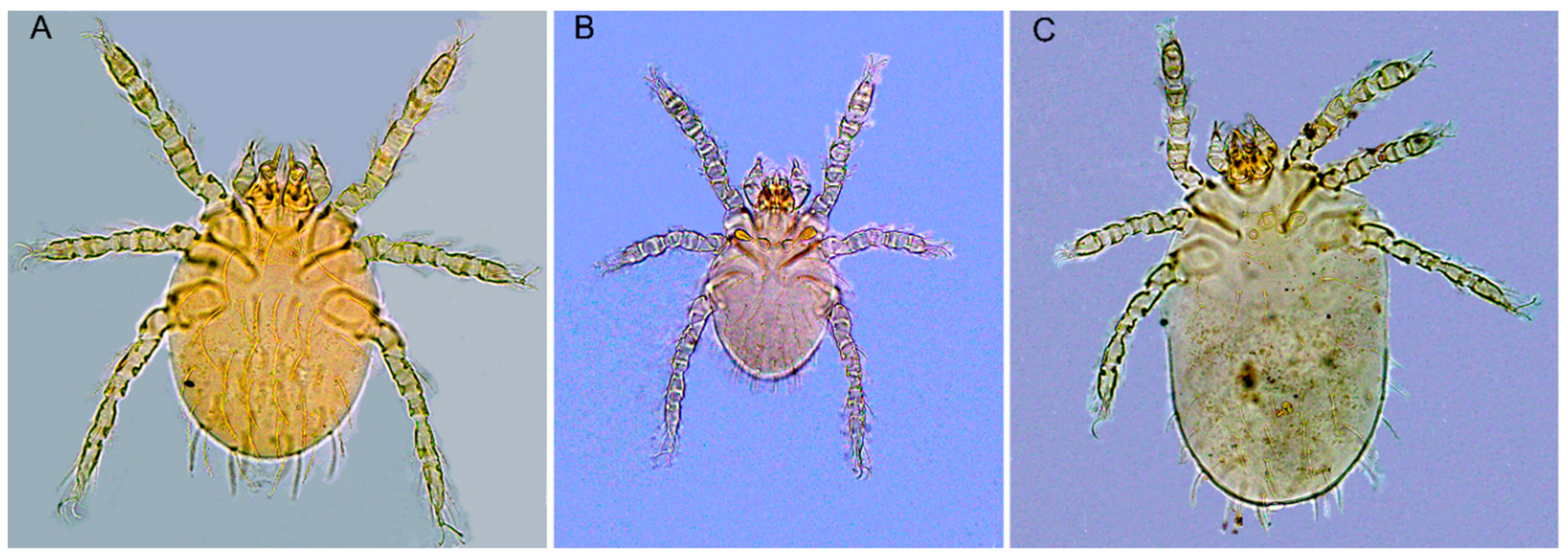 Ijerph 20 02203 g002