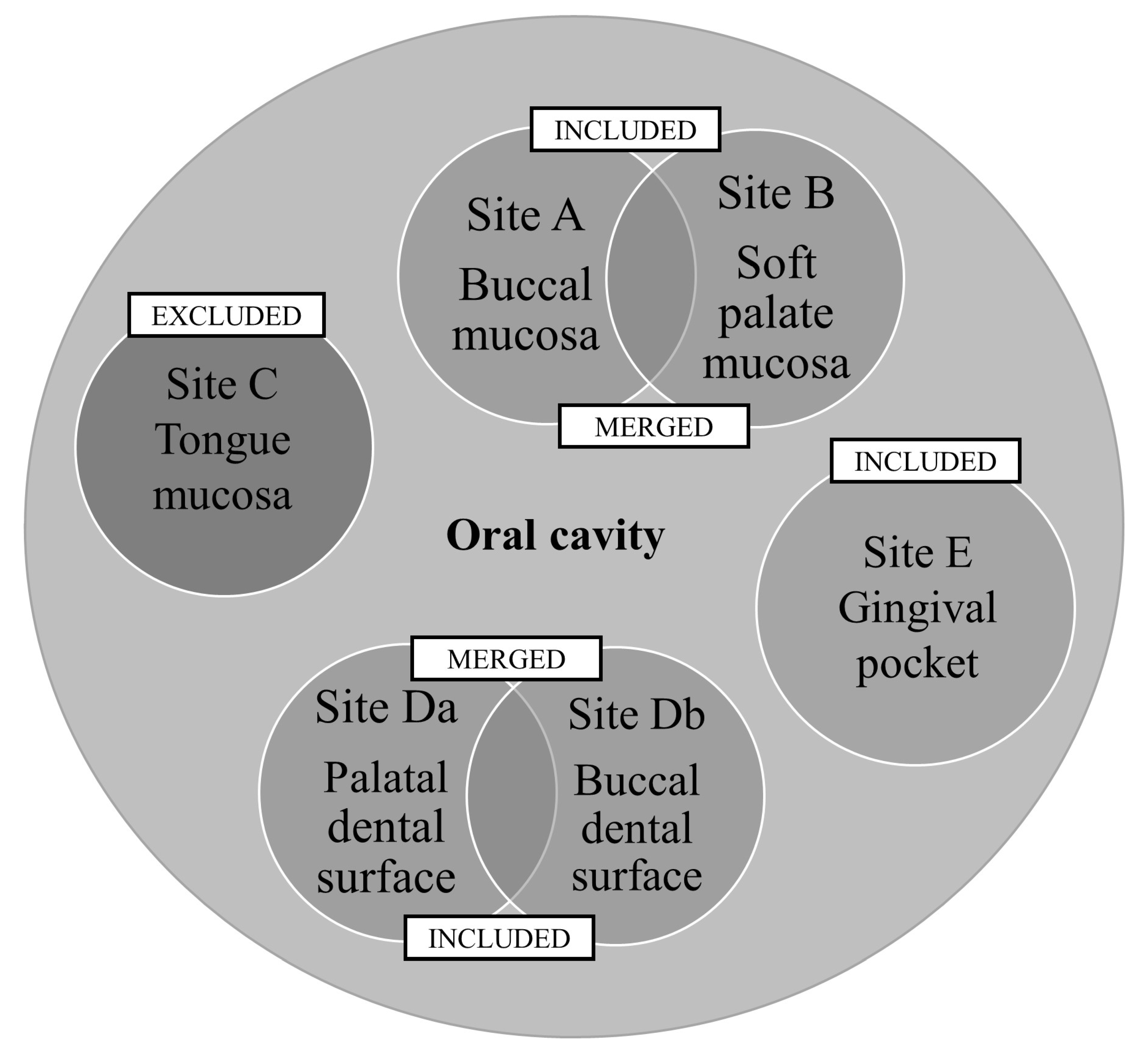 Ijerph 20 02252 g001 Ijerph 20 02252 g001
