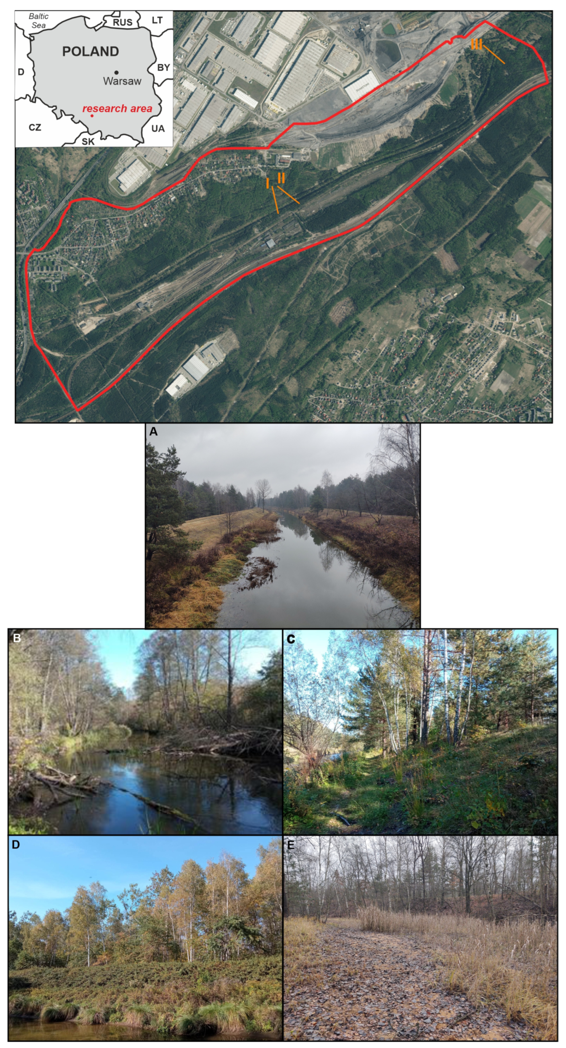 Ijerph 20 02255 g001