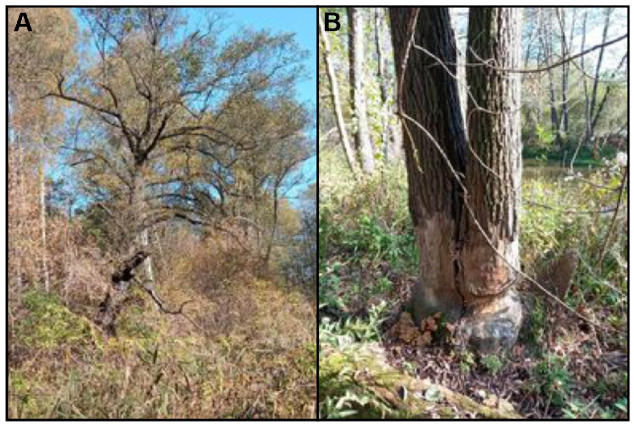 Ijerph 20 02255 g009