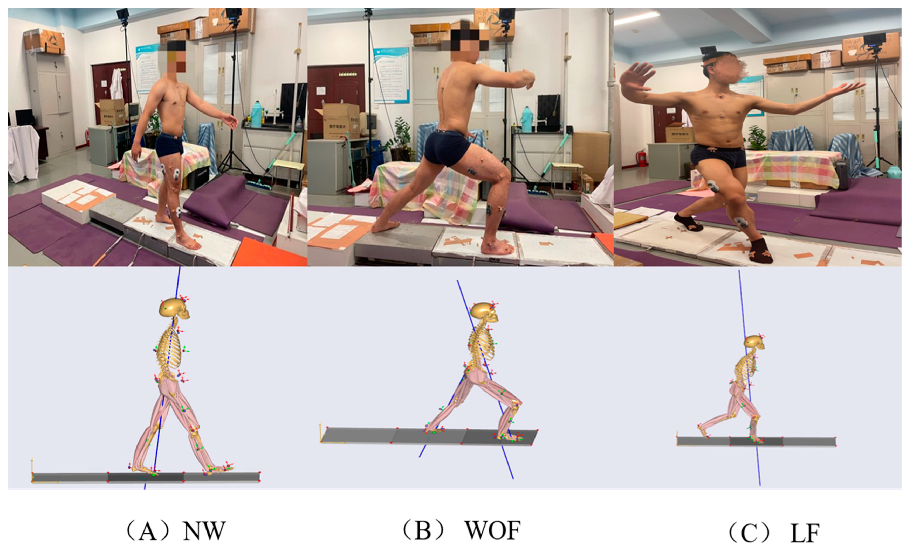 Ijerph 20 02264 g003