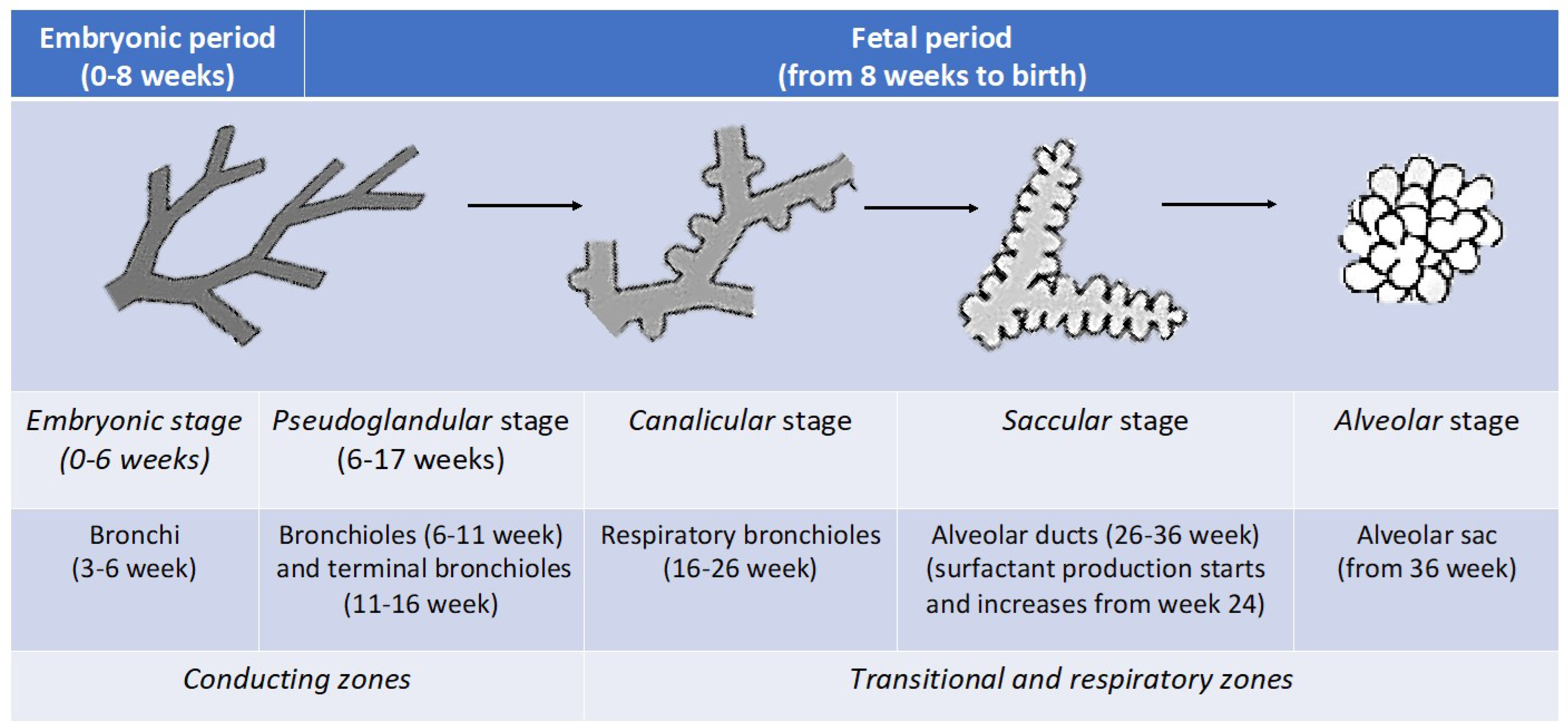 Ijerph 20 02294 g001