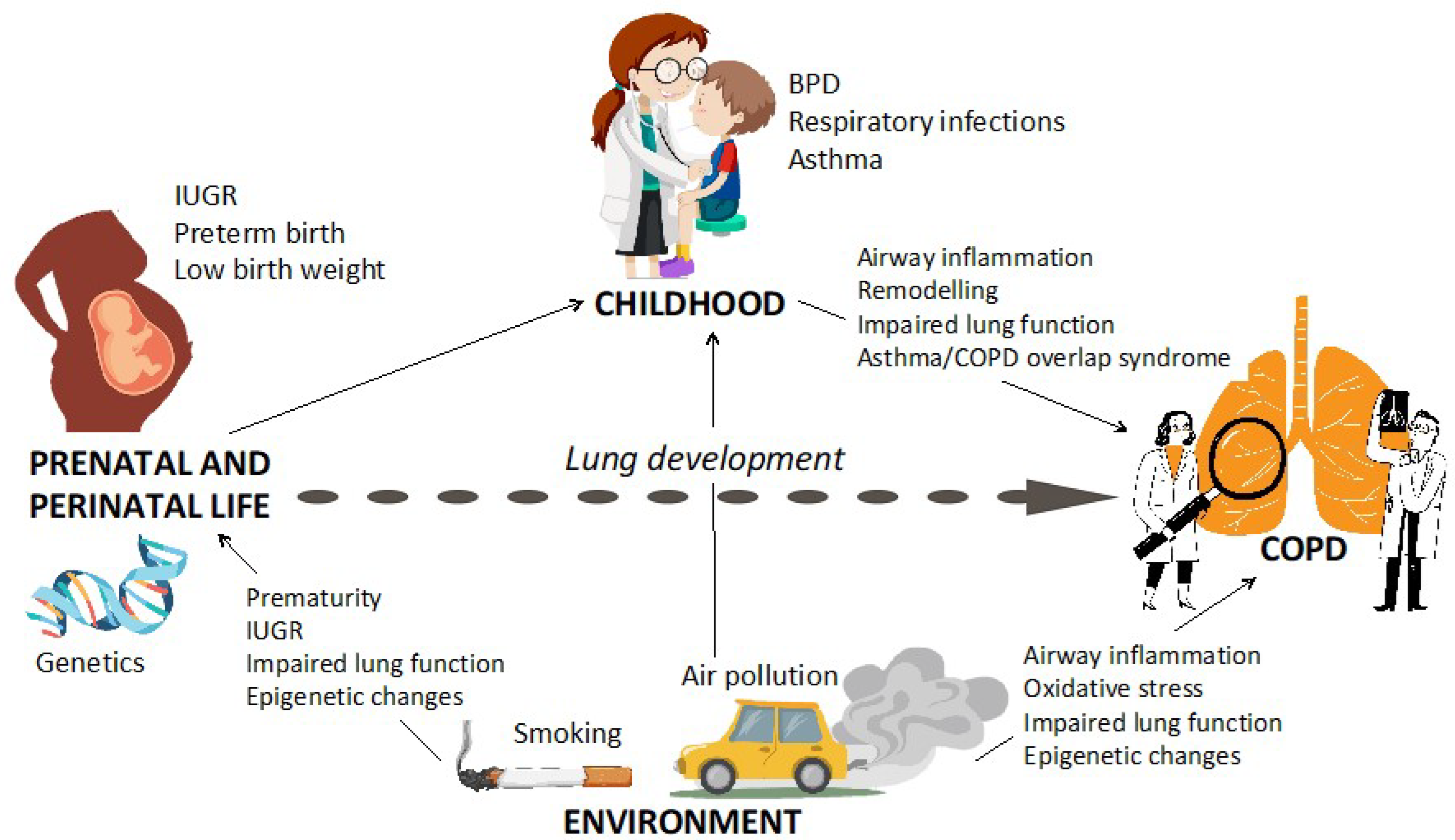 Ijerph 20 02294 g004