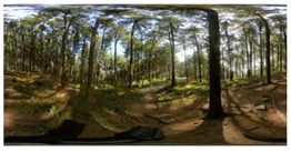 Ijerph 20 02357 i008 Ijerph 20 02357 i008