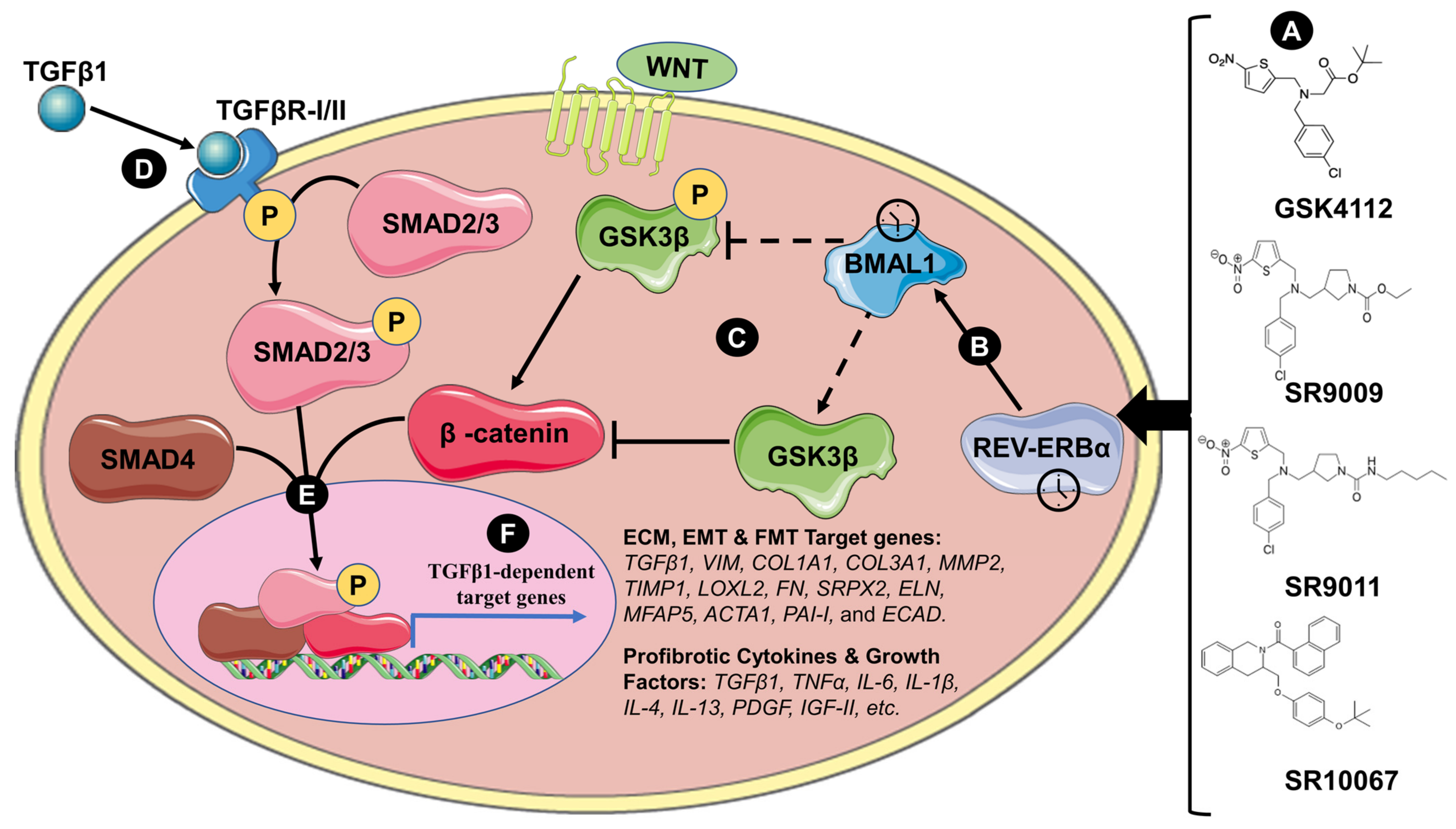 Ijerph 20 02455 g002