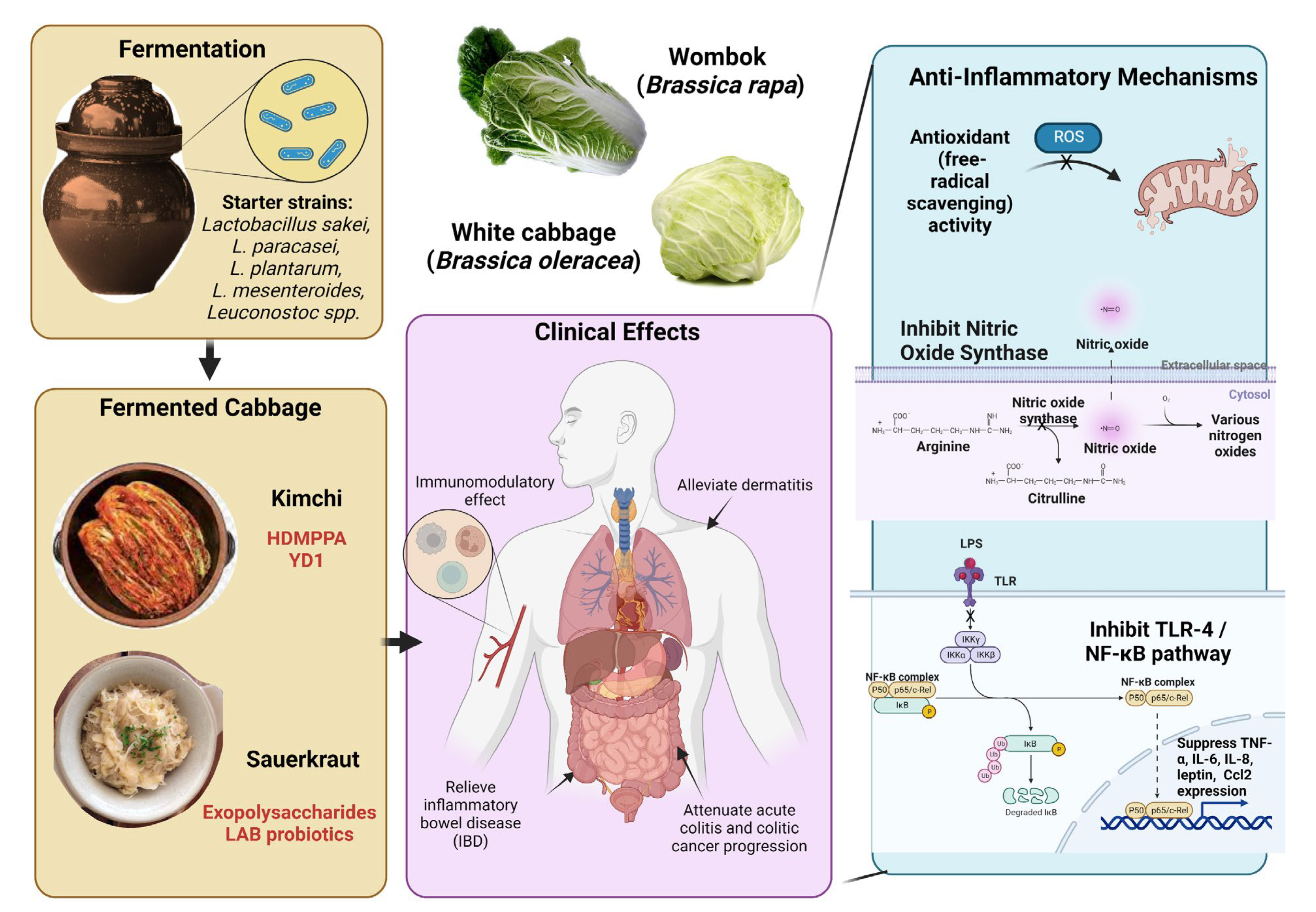 Ijerph 20 02481 g002