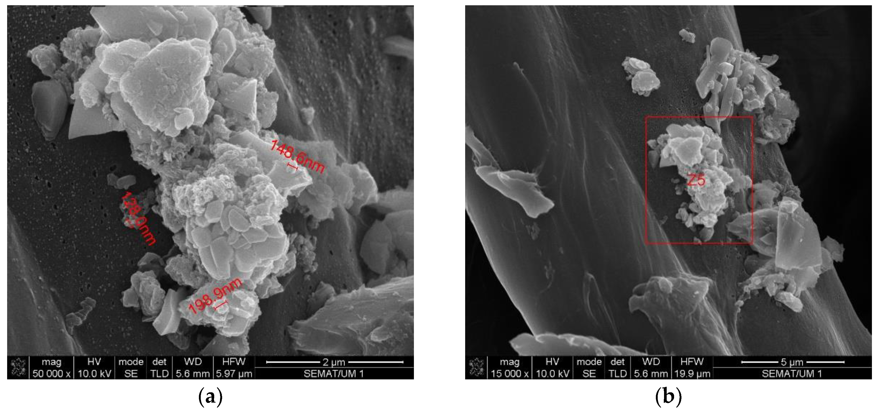 Ijerph 20 02519 g007