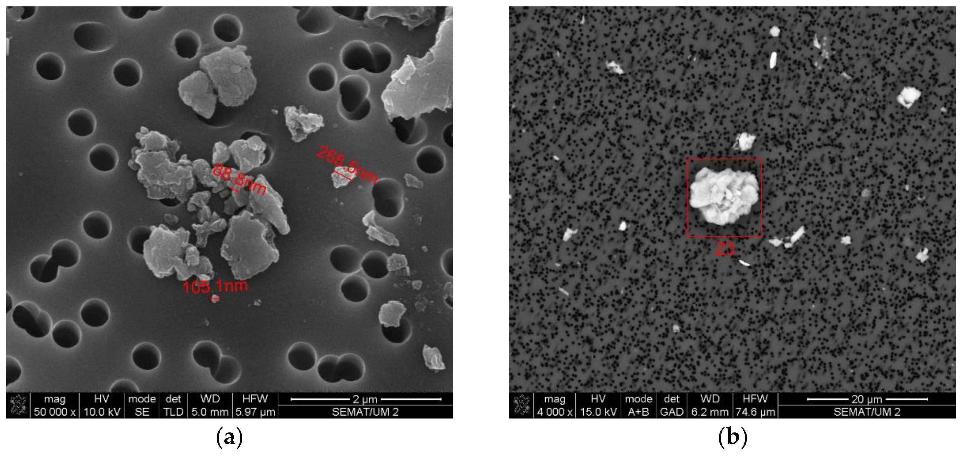 Ijerph 20 02519 g009