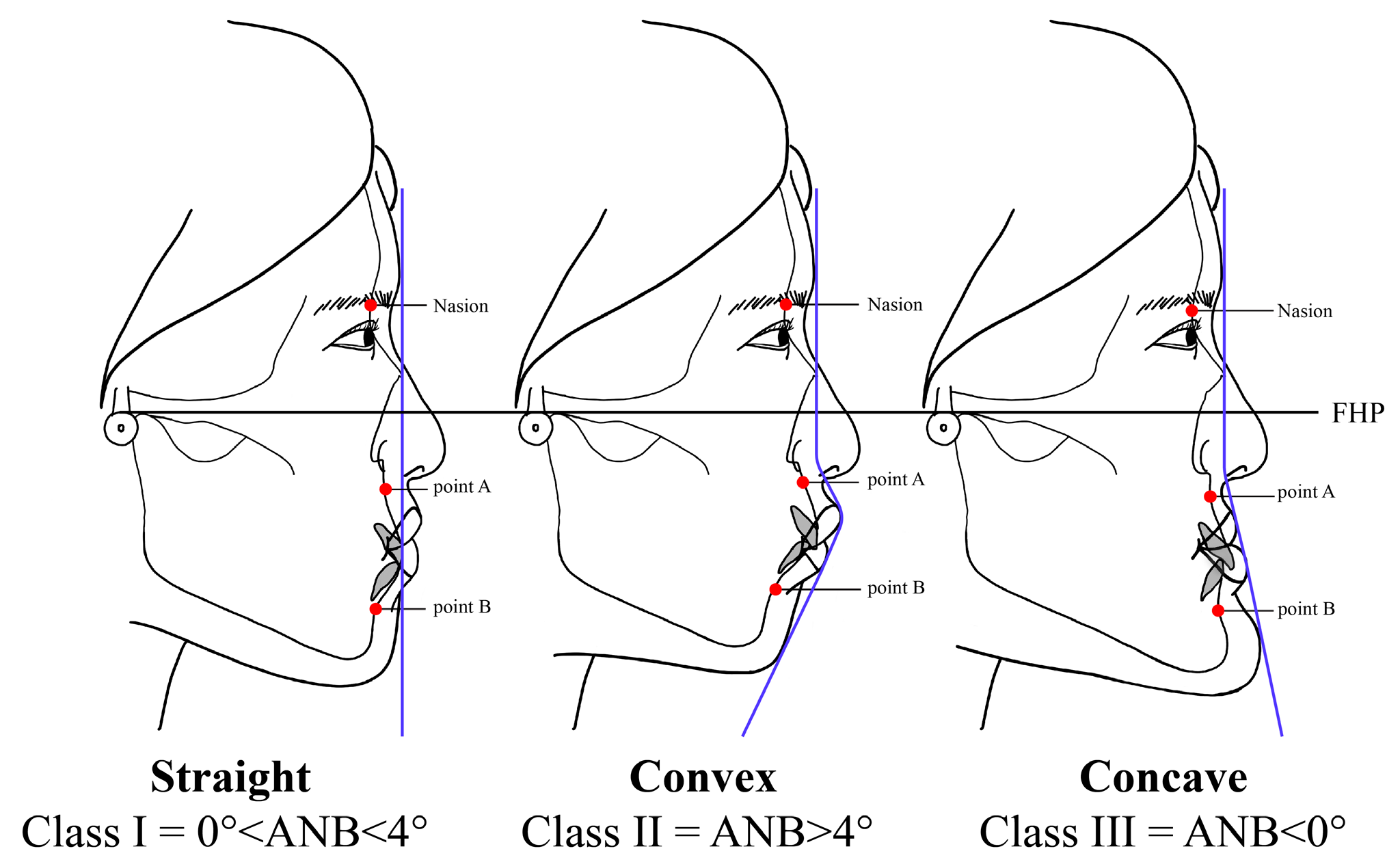 Ijerph 20 02658 g001