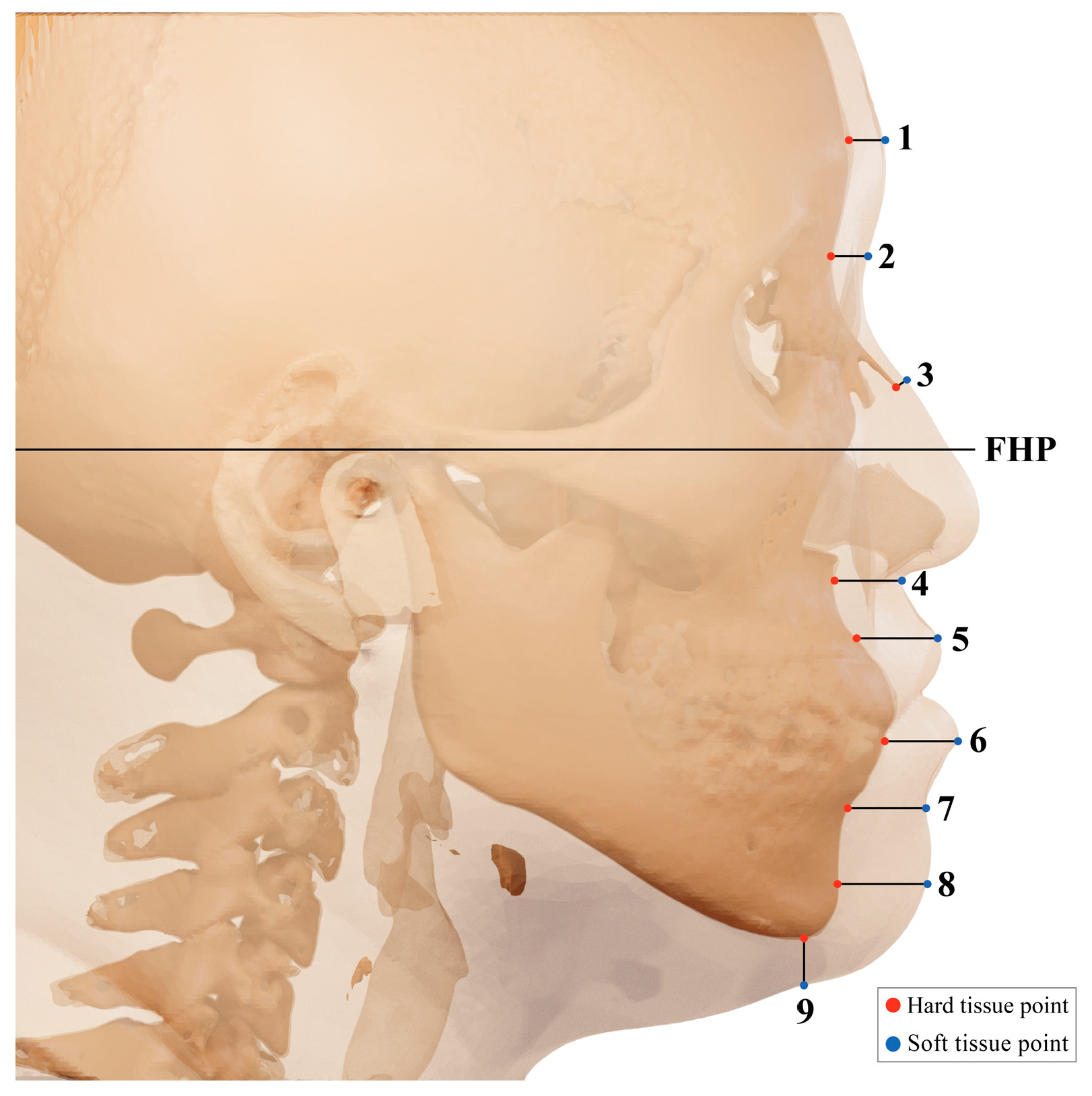 Ijerph 20 02658 g002