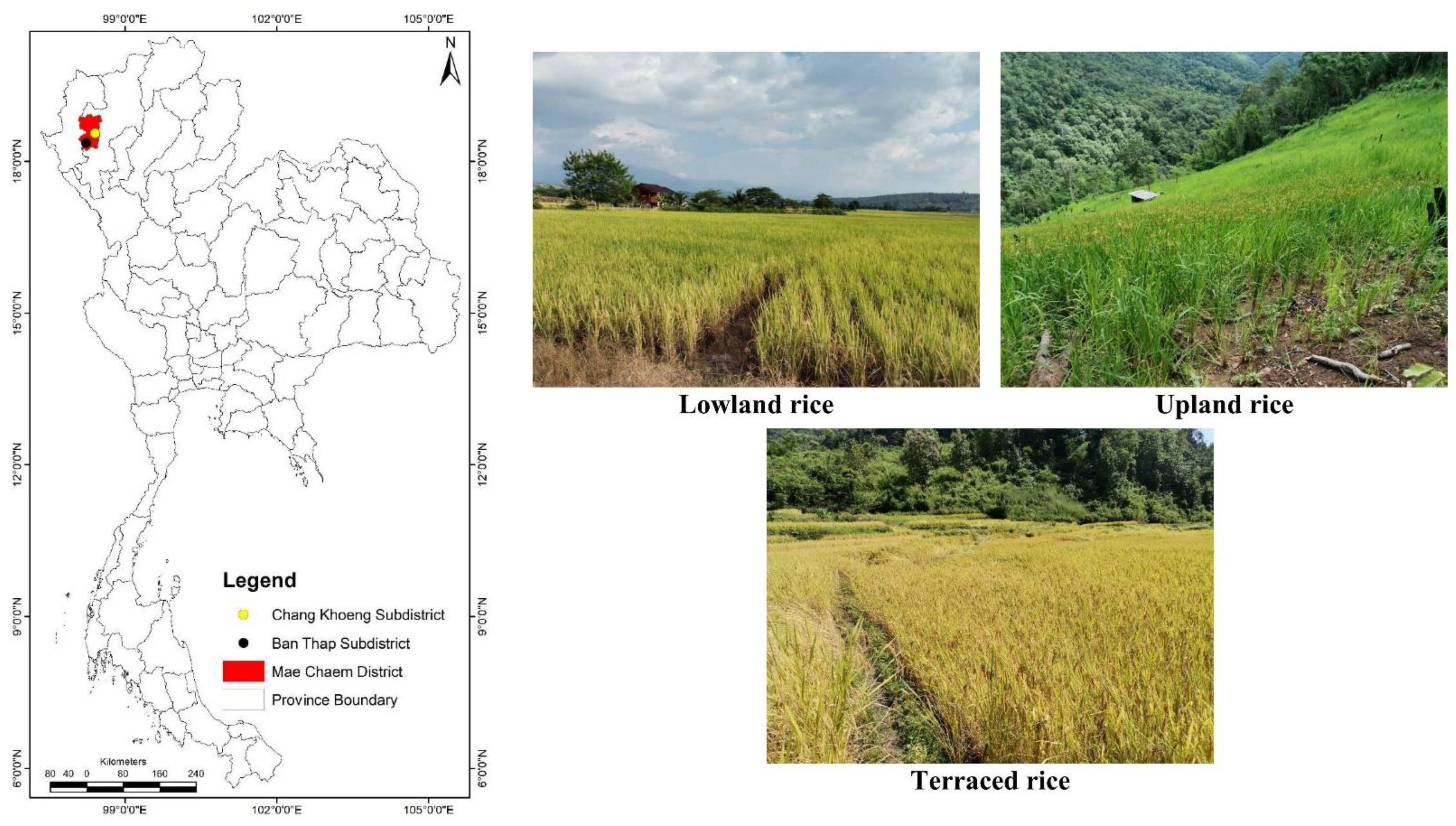 Ijerph 20 02738 g001