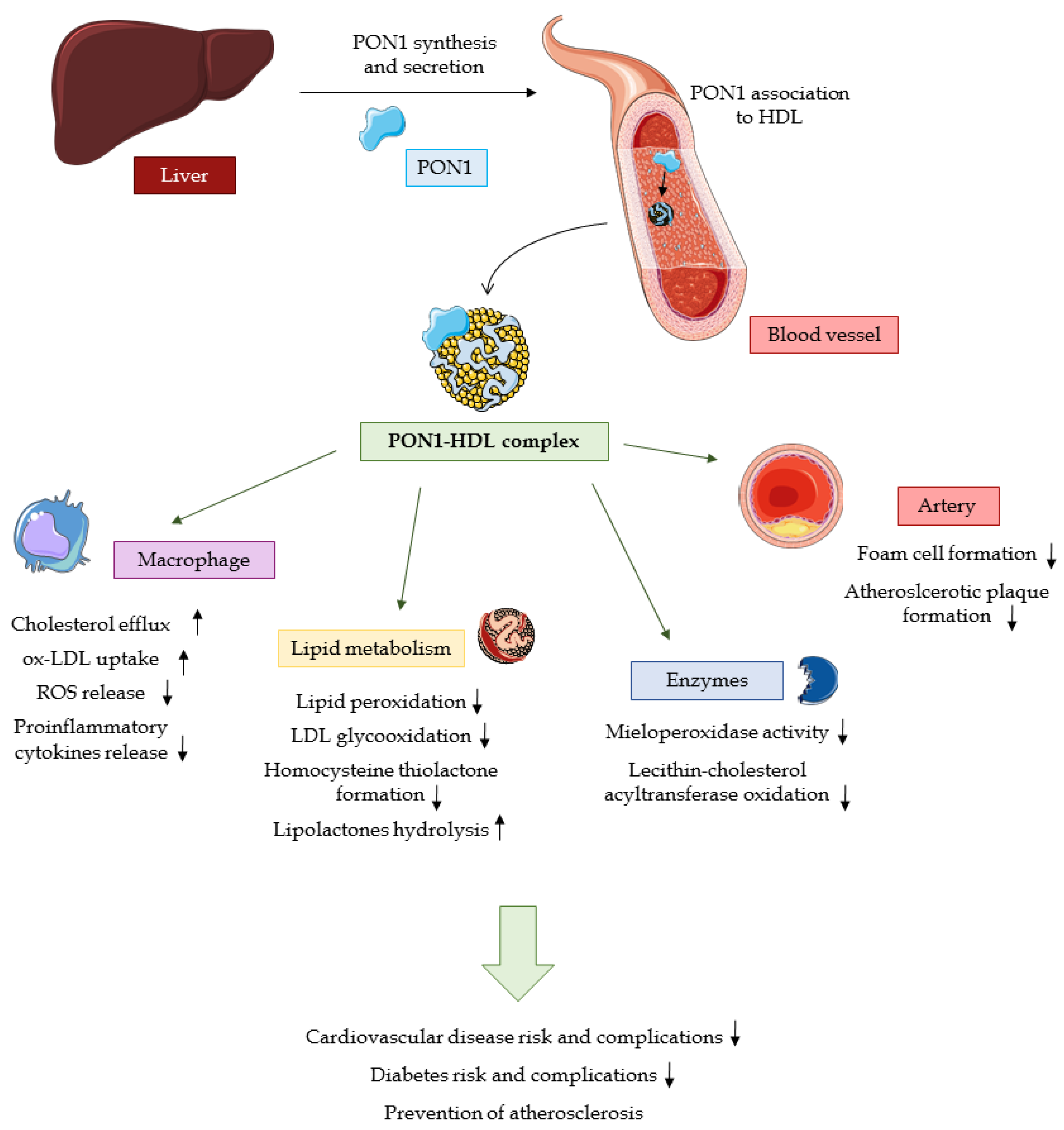 Ijerph 20 02813 g002