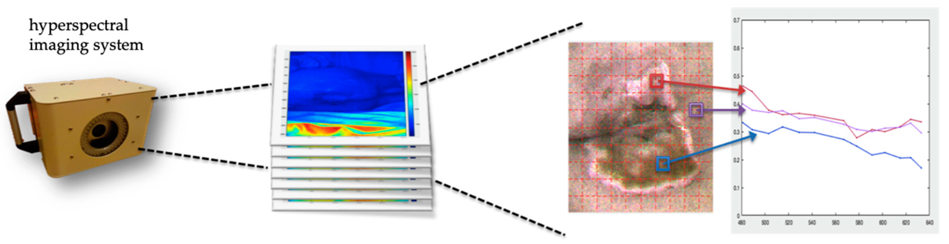 Ijerph 20 02851 g001